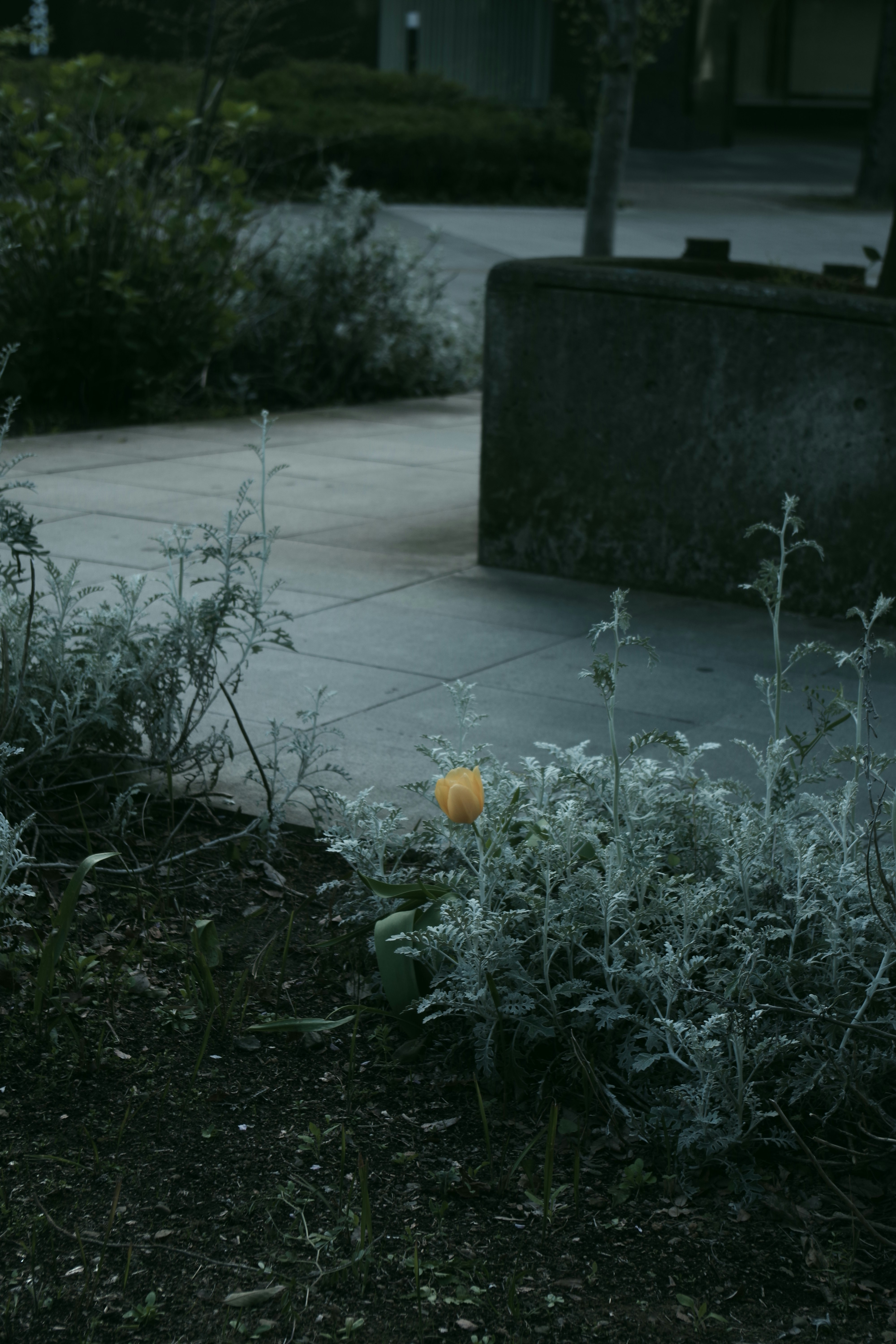 ruhige Außenansicht im Park mit Bank und Blumen