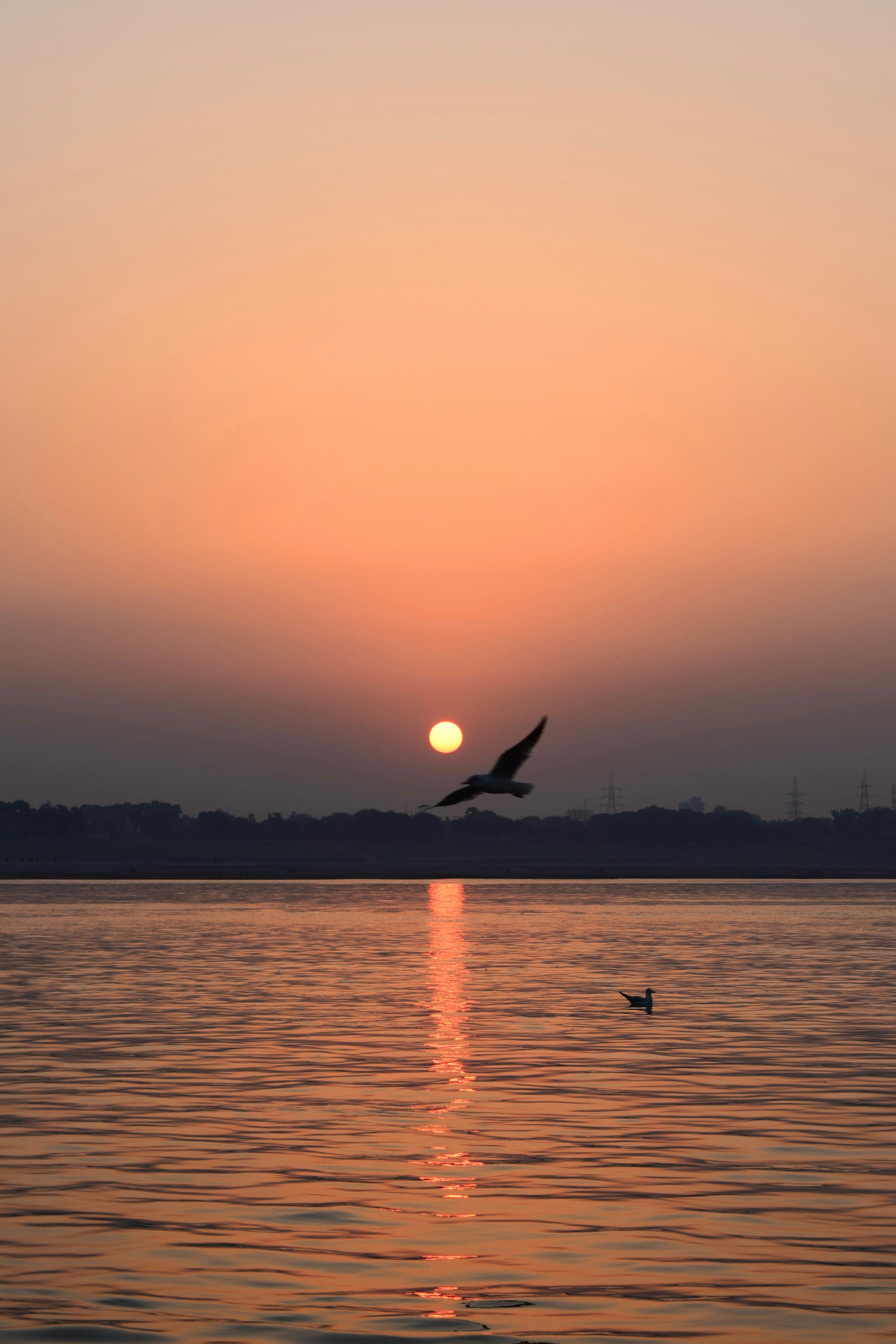 夕暮れの湖面に映る夕日と飛ぶ鳥