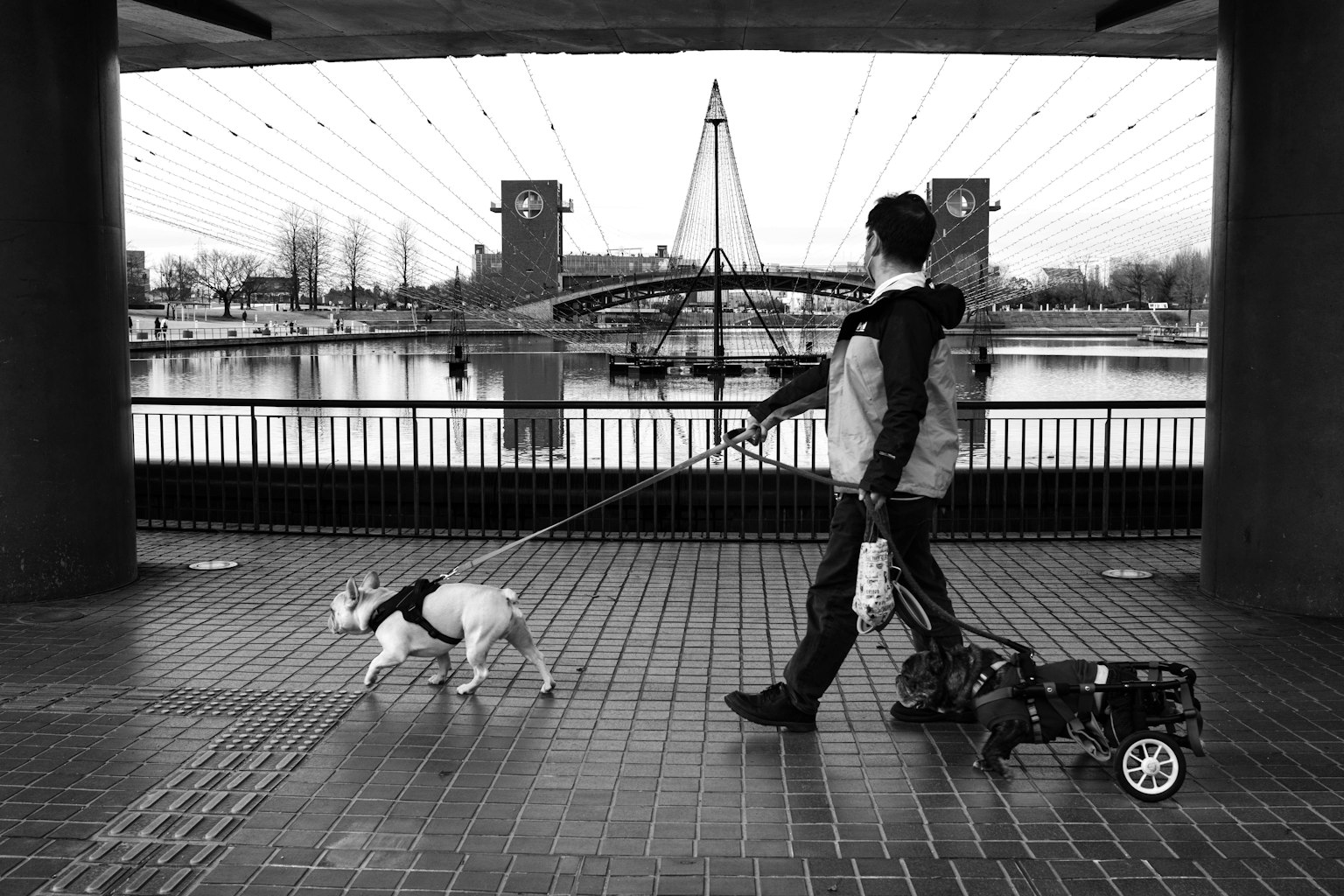 A man walking a dog in black and white with a bridge in the background