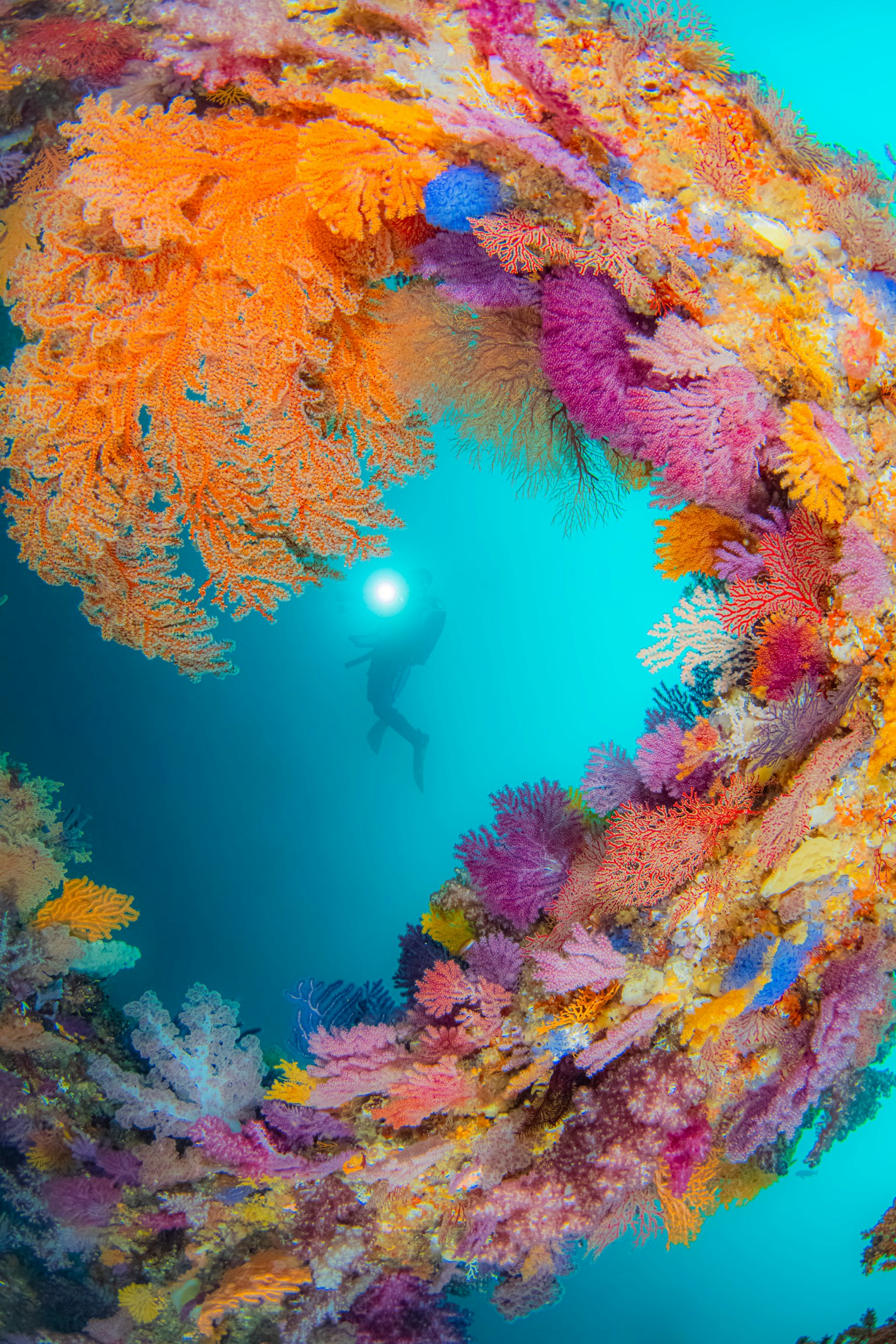 photo-h5pvBSXvklDxiTbeIneA-image