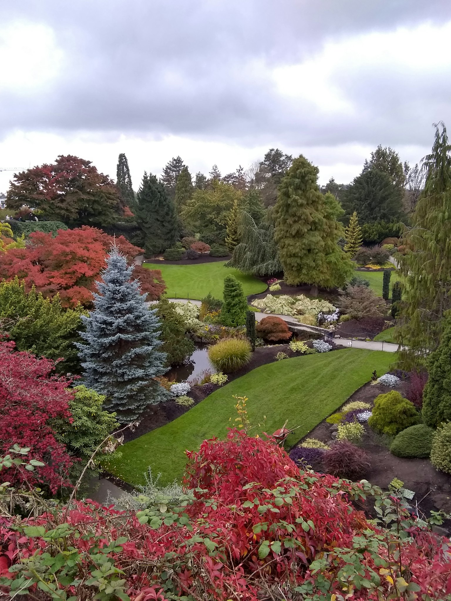 Une belle vue de jardin avec des plantes colorées et de l'herbe verte