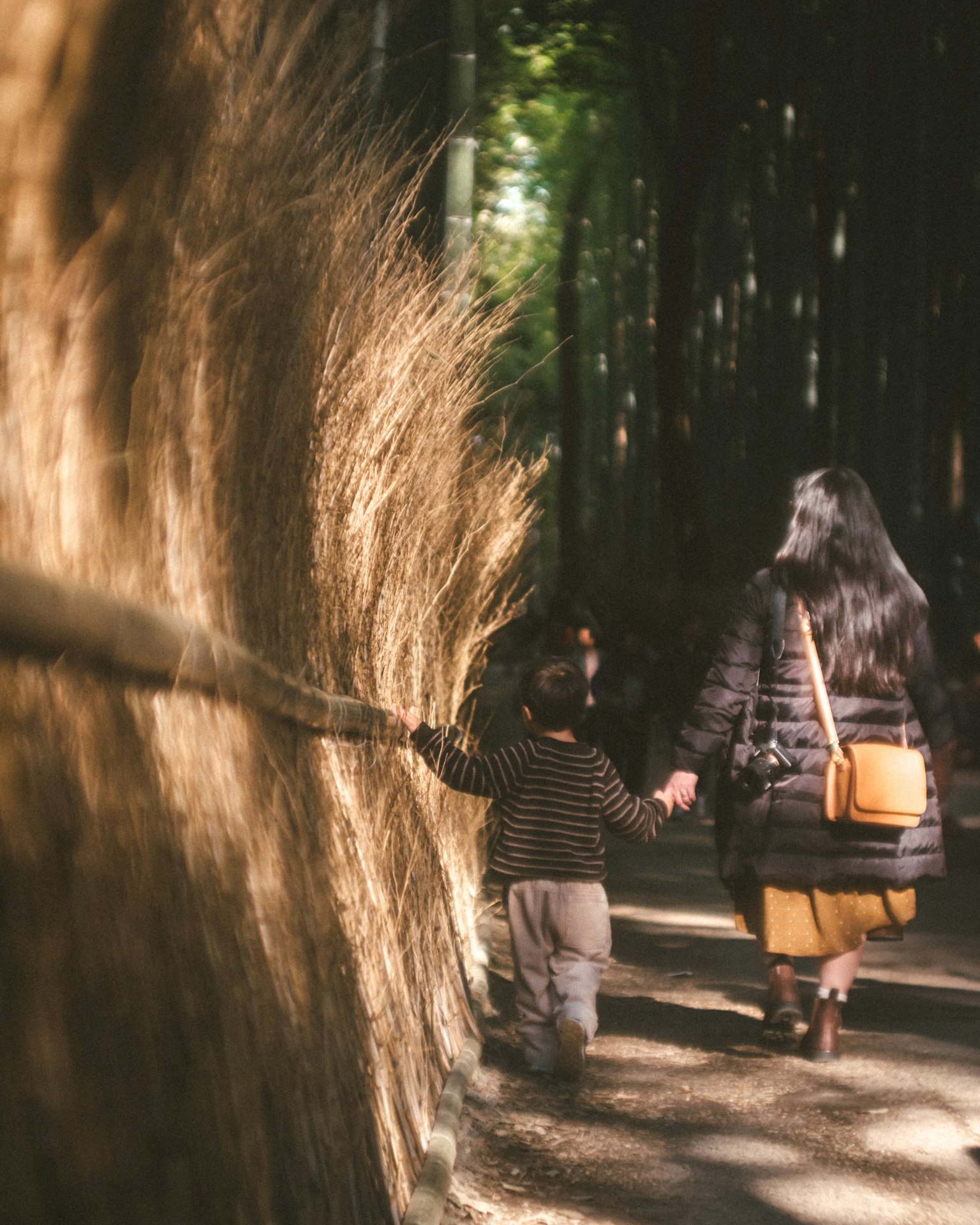 Un niño de la mano de un padre caminando por un sendero del bosque