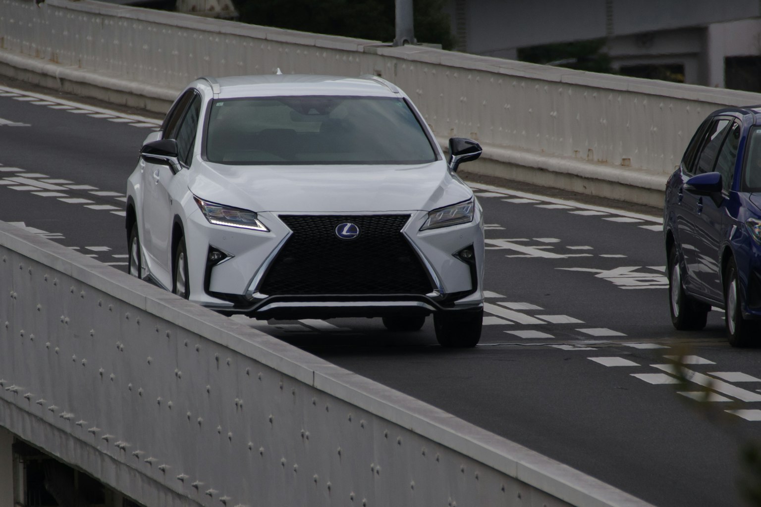 고속도로를 주행 중인 흰색 렉서스 SUV
