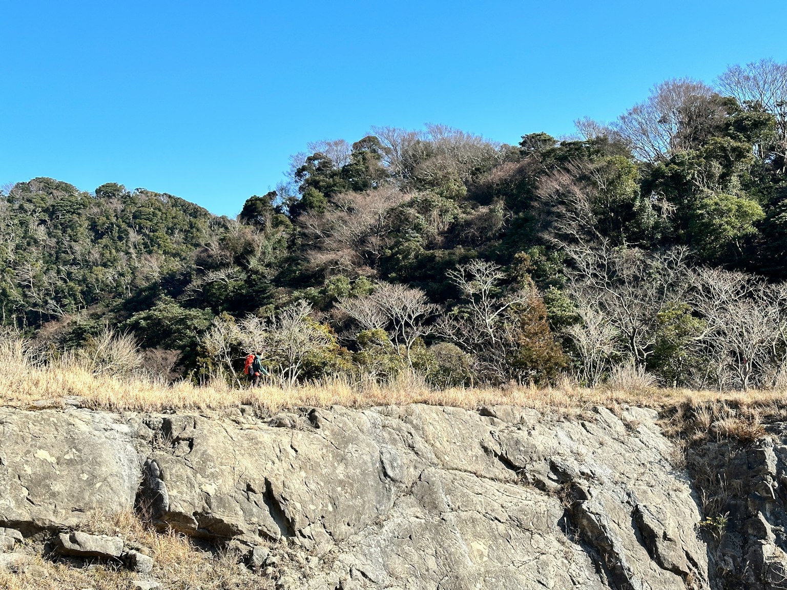 Rocky cliff with sparse trees under a clear blue sky