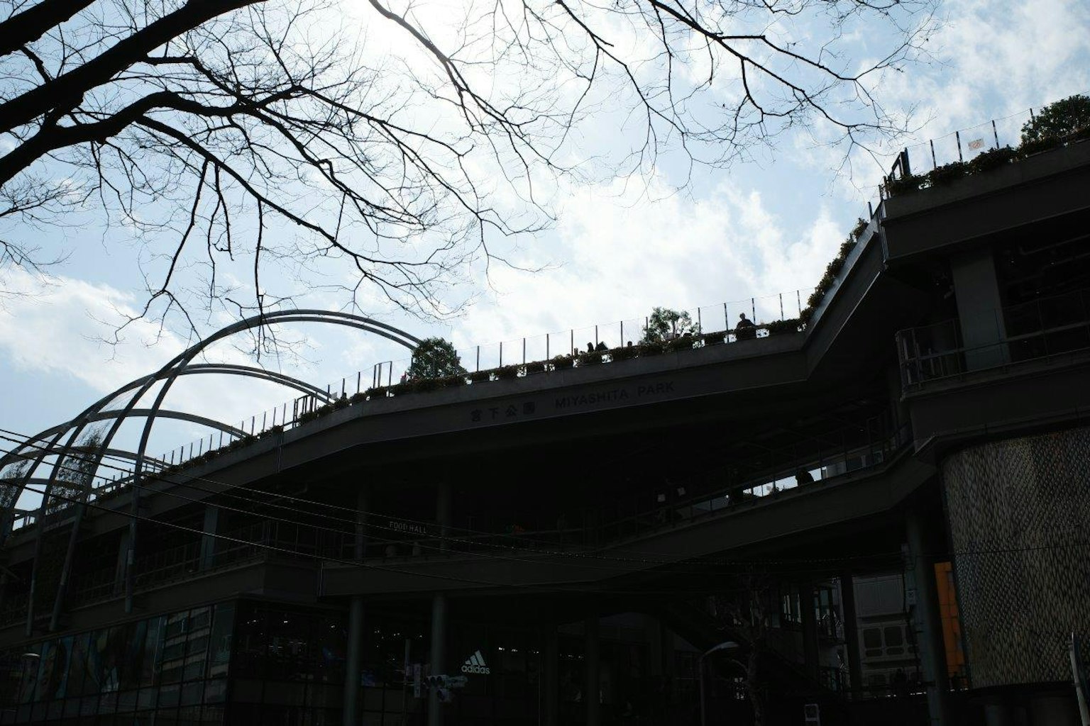 遊樂園雲霄飛車的輪廓與藍天相映
