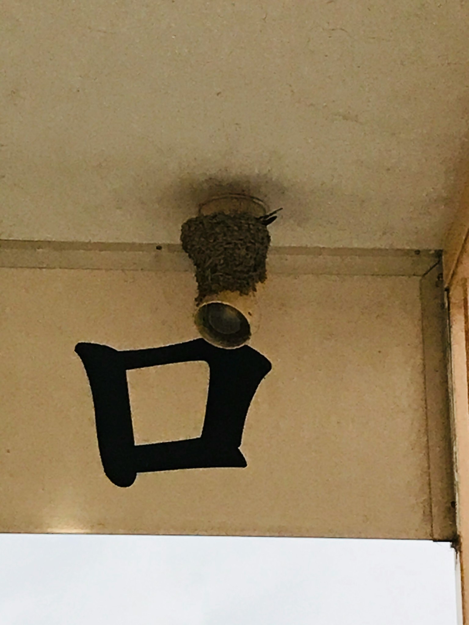 Nest attached to the ceiling with a black character symbol