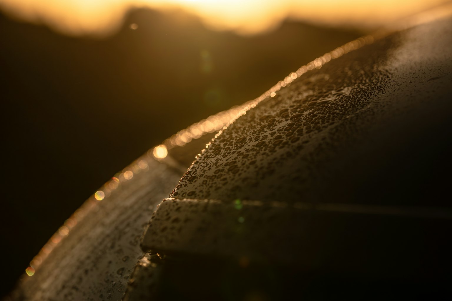 Close-up of a surface with water droplets against a sunset background
