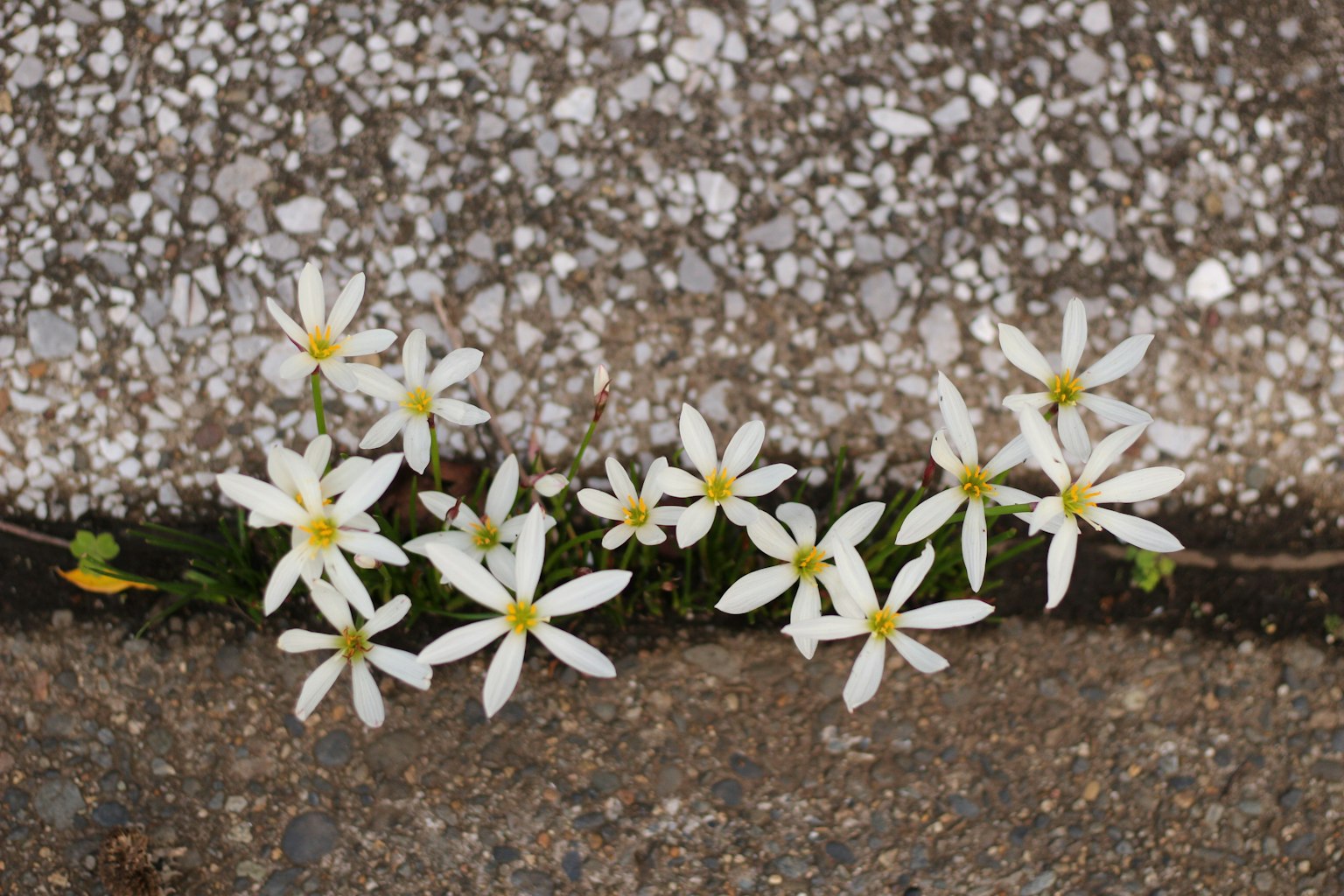 photo-h7v2BQxiMabY8kbgZnFf-image