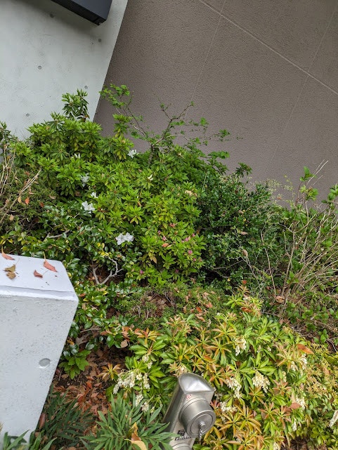 种植绿植与小型喷灌装置的花园角落