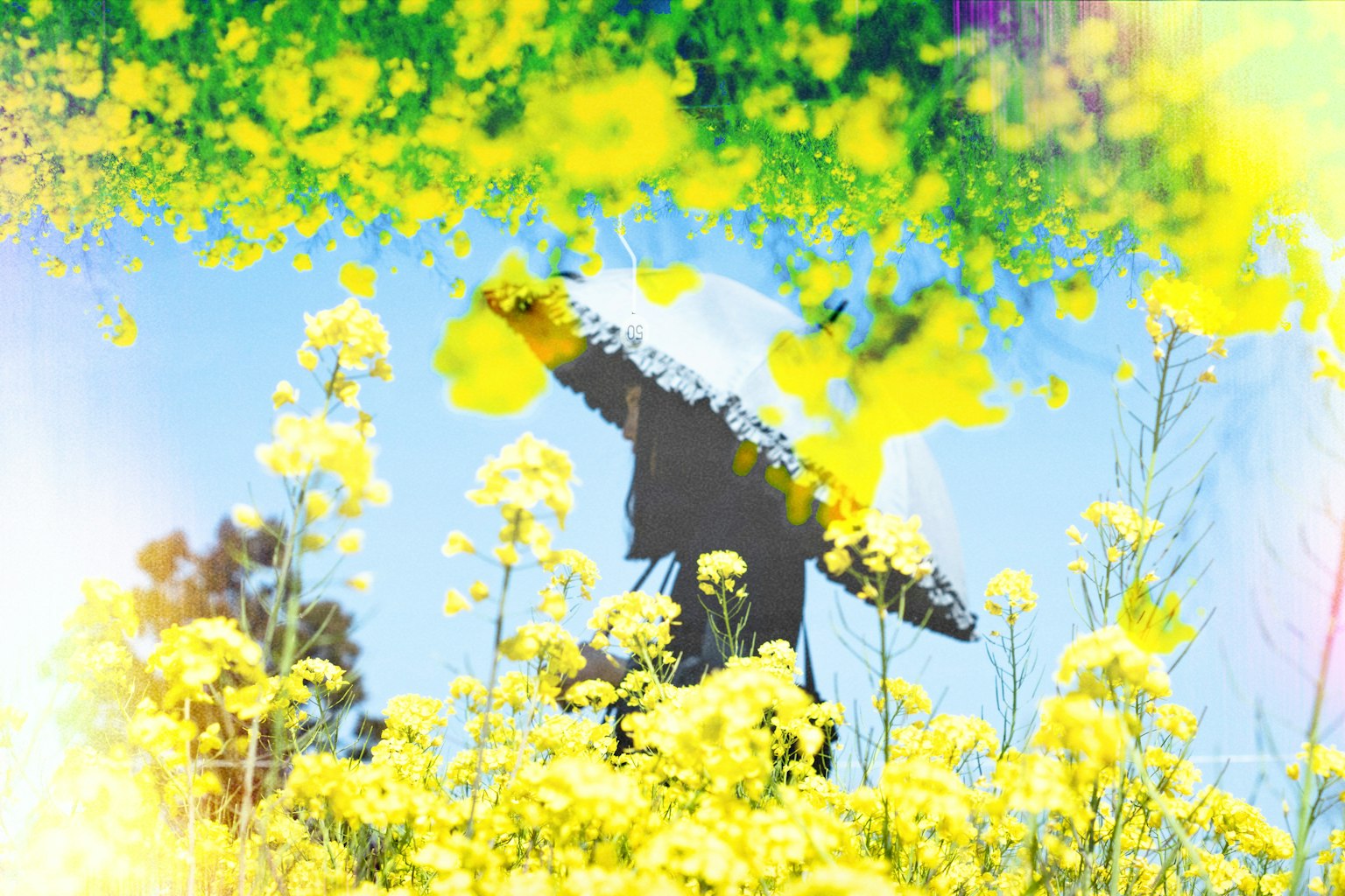 Una persona sosteniendo un paraguas en un campo de flores amarillas bajo un cielo azul