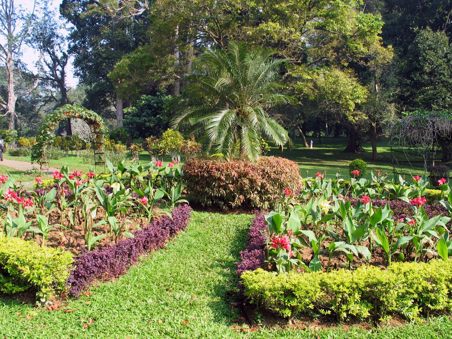 Jardin vibrant avec des fleurs colorées et une verdure luxuriante