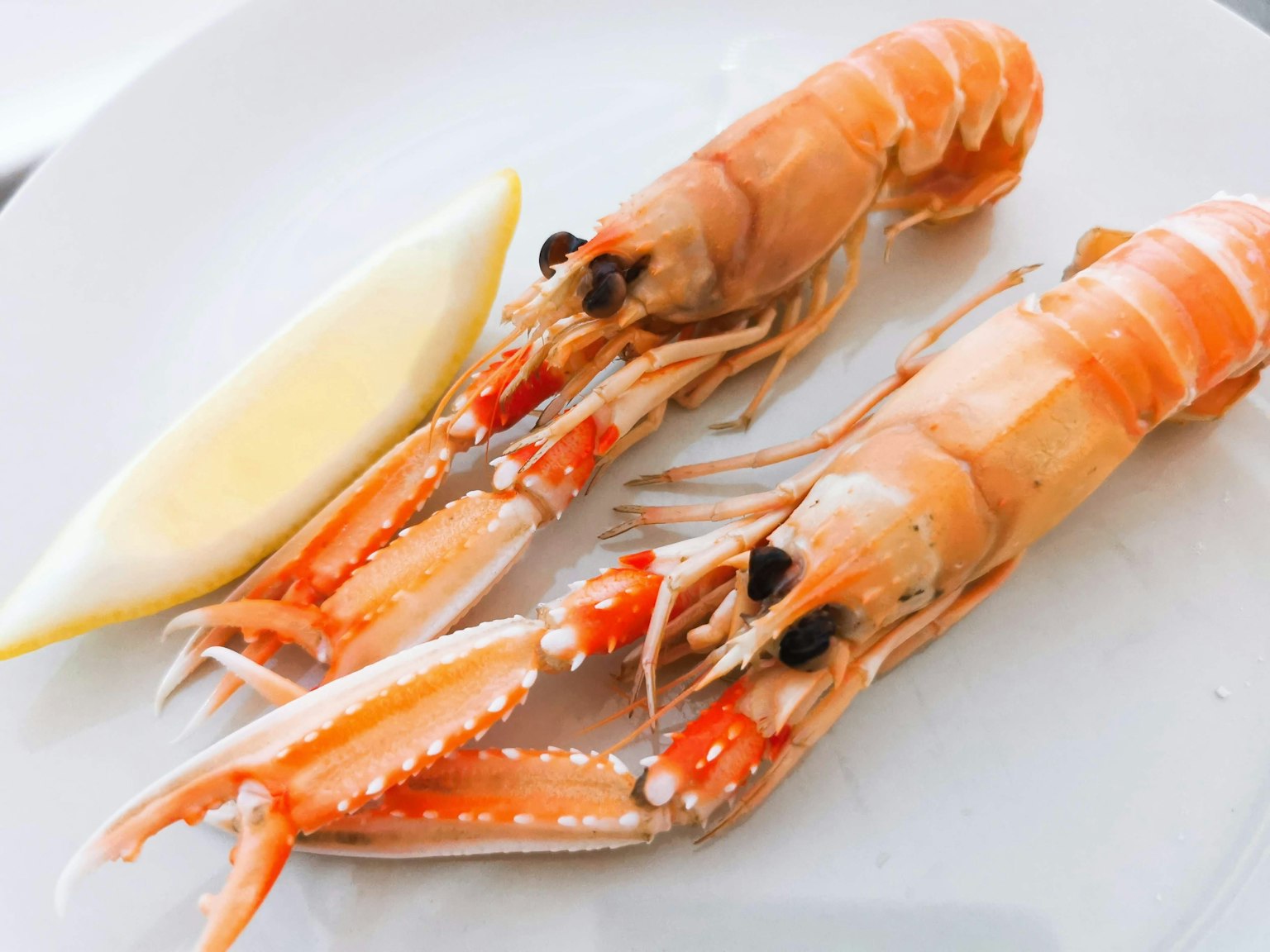 Dua udang besar di atas piring putih dengan sepotong lemon