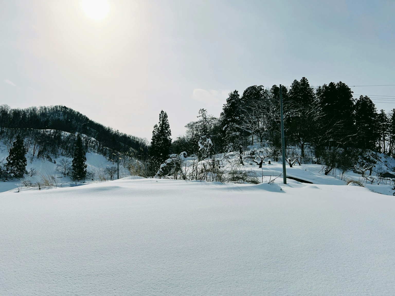 雪覆盖的风景，树木和山丘在冬季