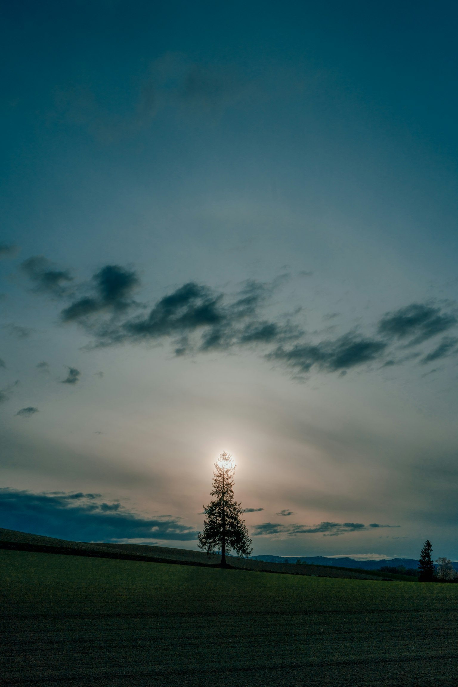 Un albero solitario in silhouette contro un cielo al crepuscolo con nuvole