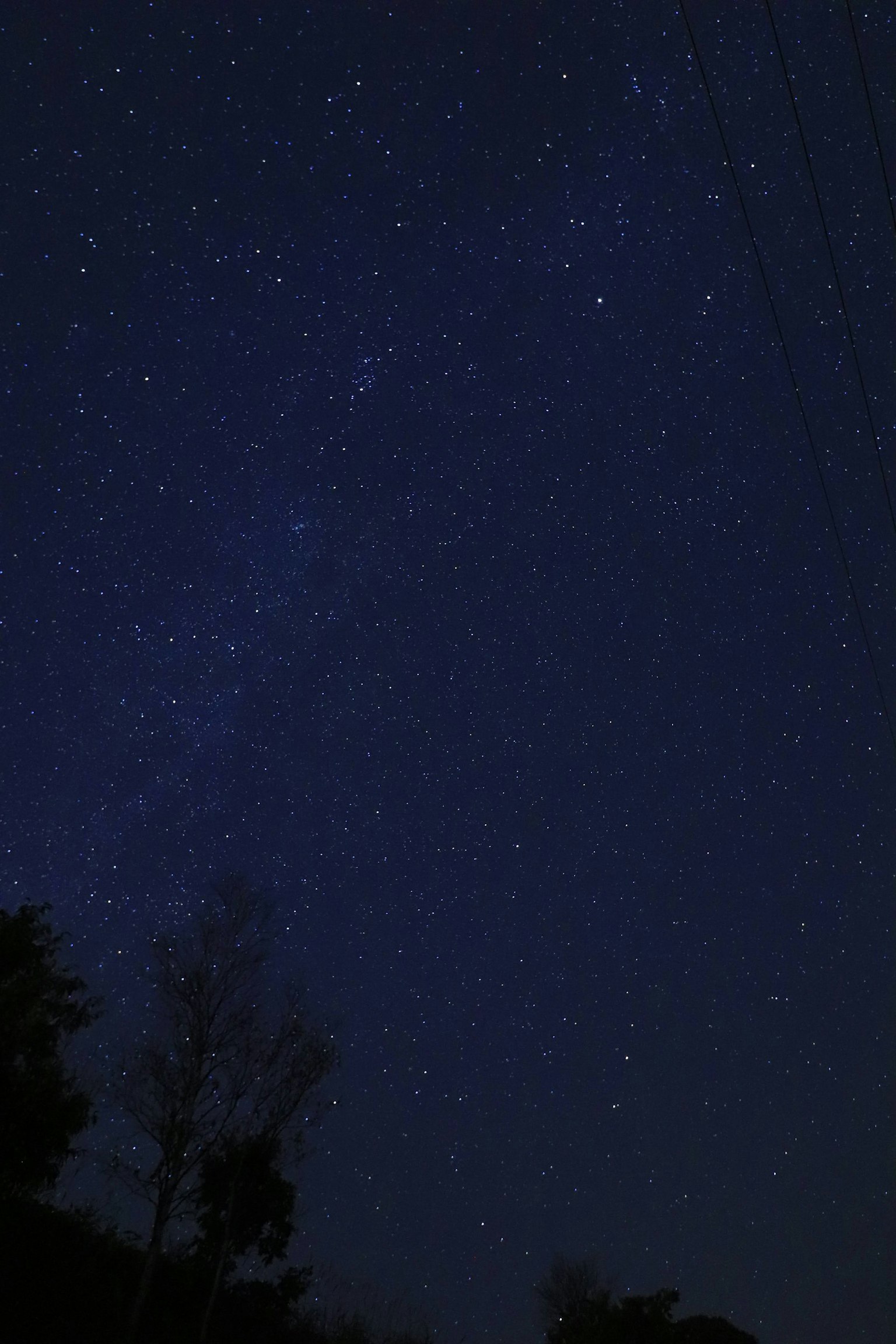 Bellissimo cielo notturno pieno di innumerevoli stelle