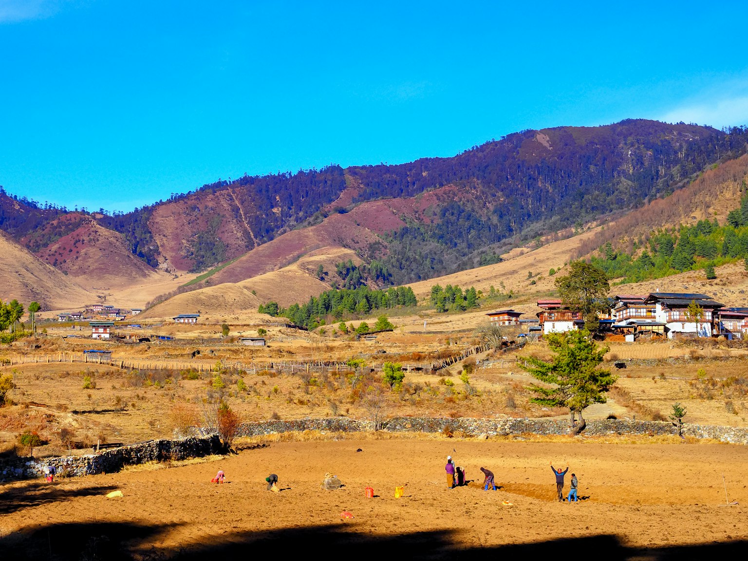 People working on dry farmland surrounded by beautiful mountains