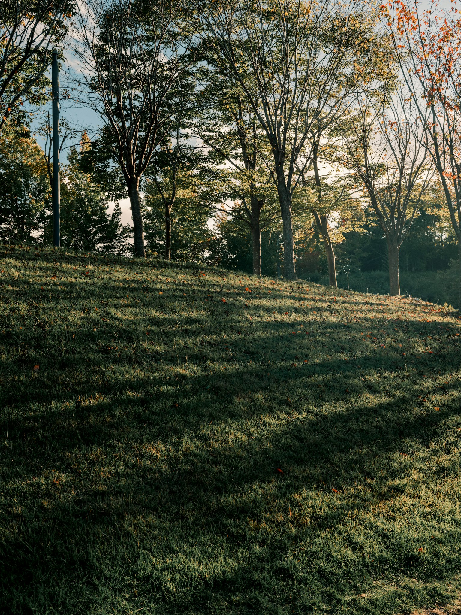 photo-hAaoF9Cd7j5pzsq6i62s-image