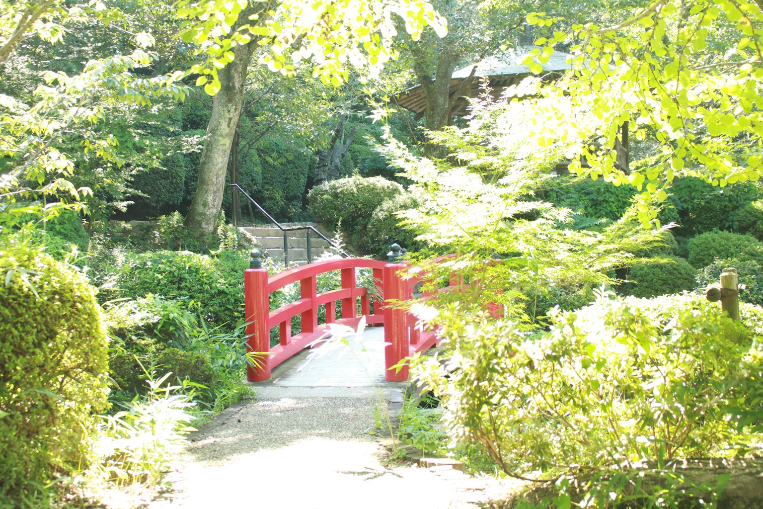 A red bridge over a lush green garden