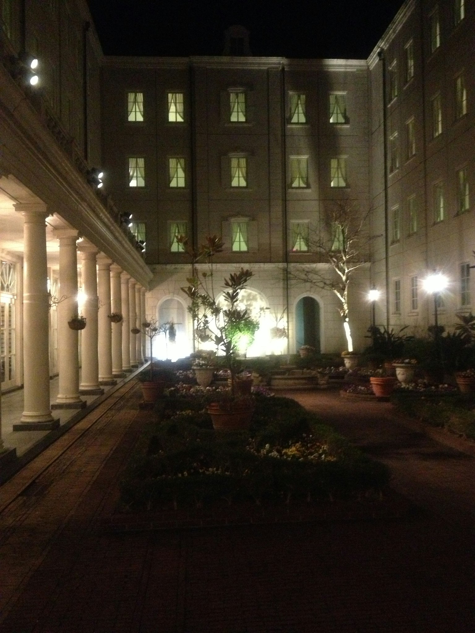 Cortile splendidamente illuminato con vegetazione di notte