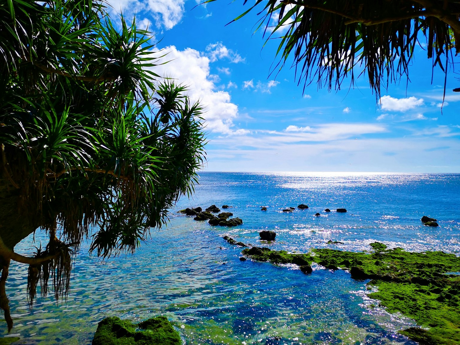 Malersicher Blick auf das blaue Meer und den Himmel mit grünen Pflanzen und Felsen