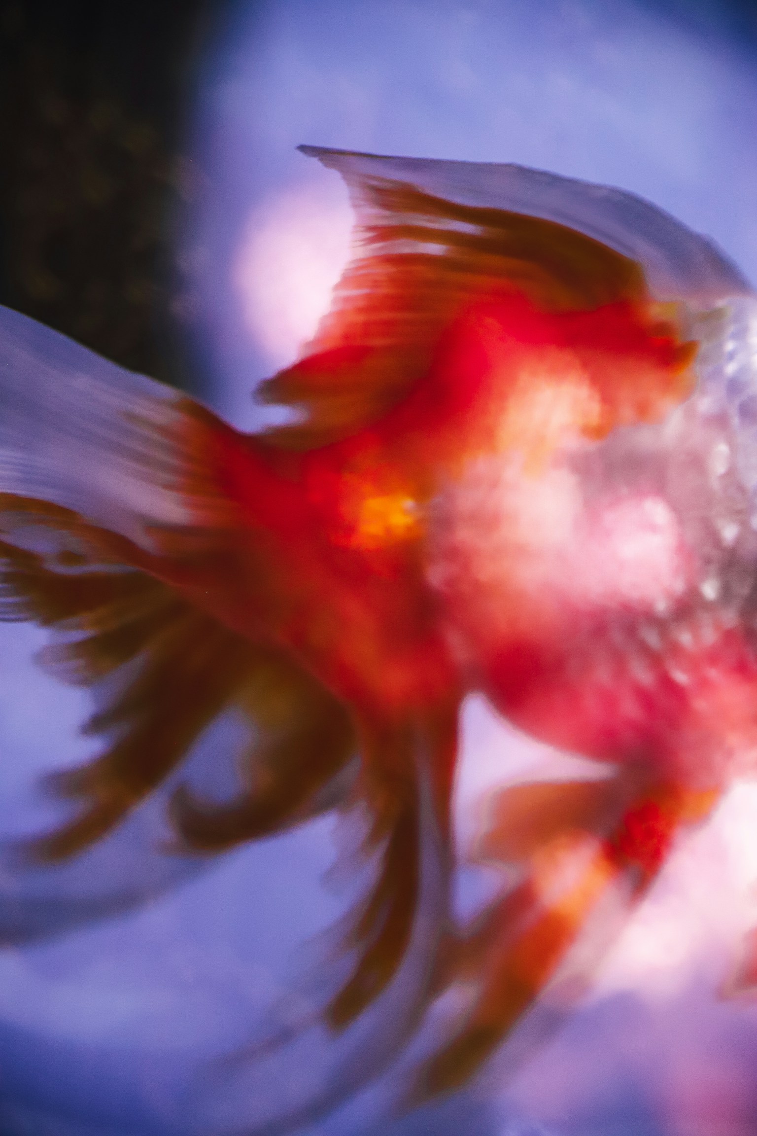 photo-hBvHkPjWQFbcSY20rFUC-image