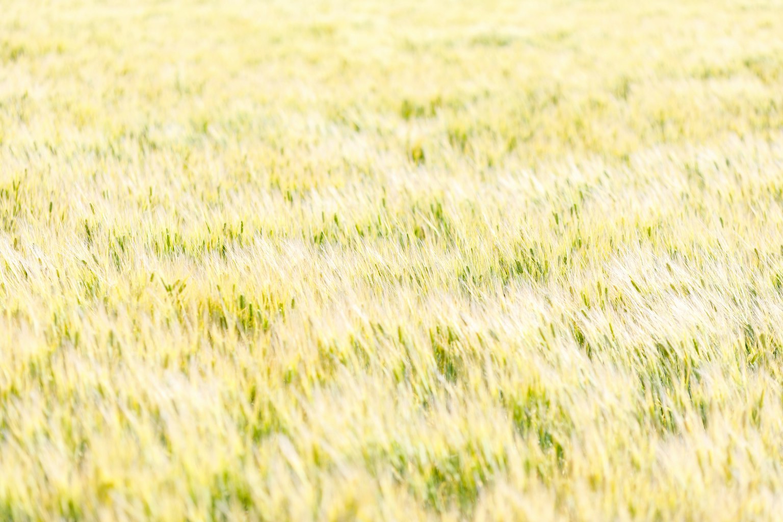 photo-hBy6gL1B33AciptzjMK7-image