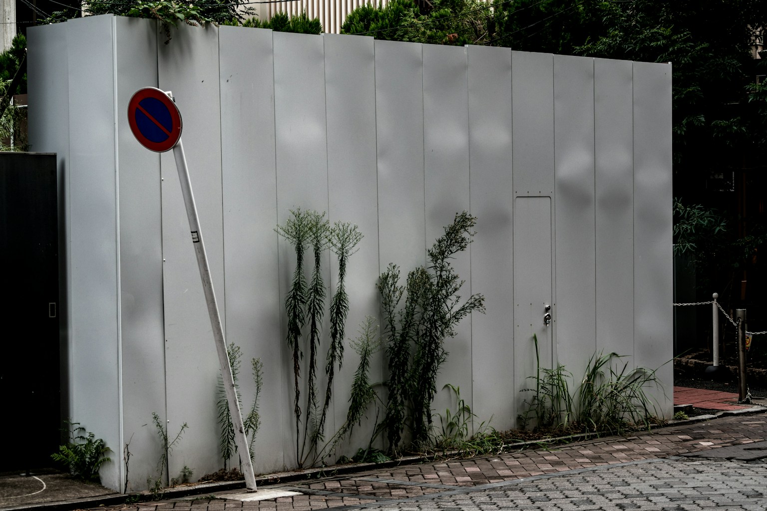 Photo of a white wall with overgrown grass and a tilted no parking sign
