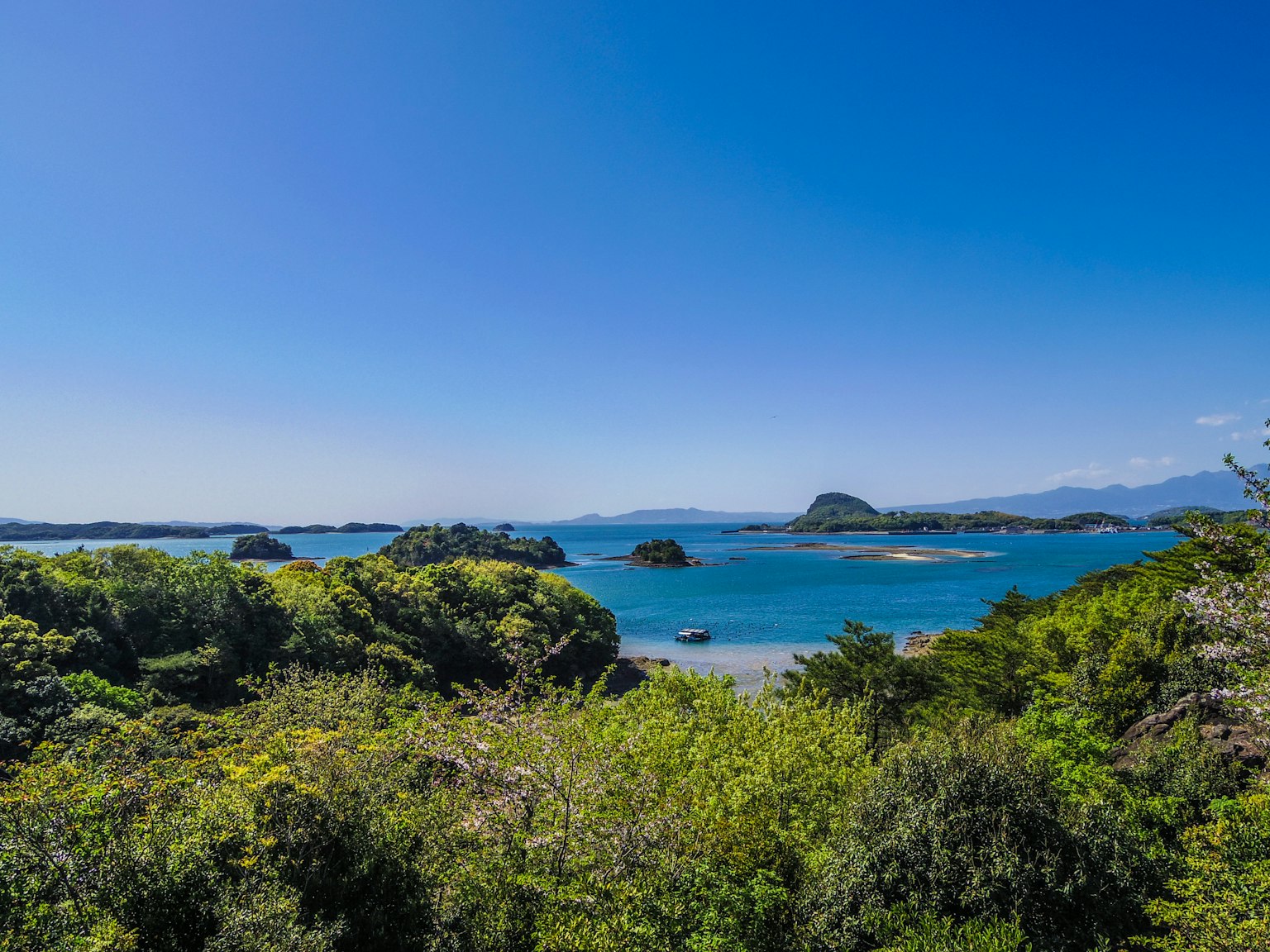 藍色海洋和綠色樹木的風景