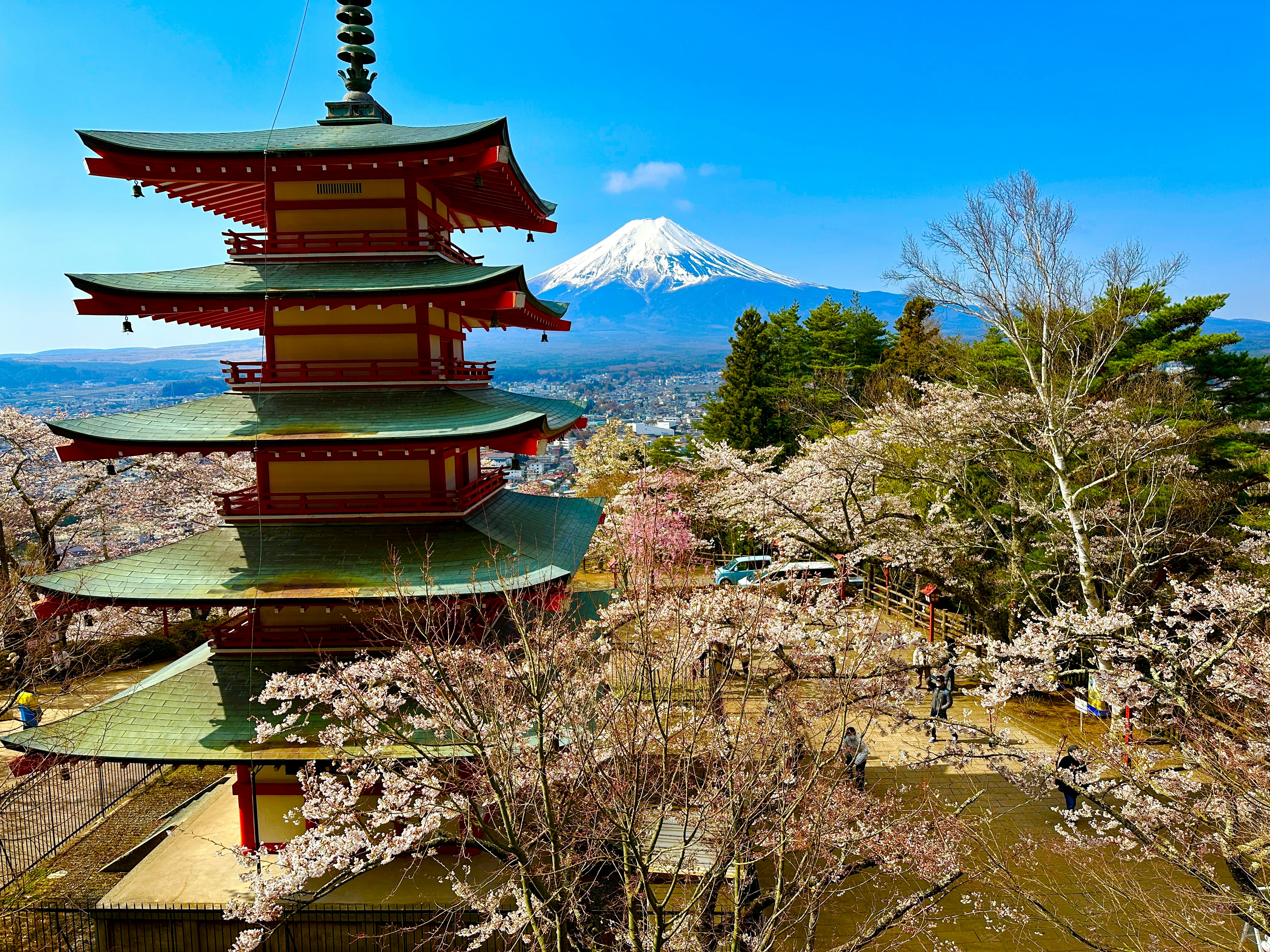 Pagoda bertingkat lima dan bunga sakura dengan Gunung Fuji terlihat