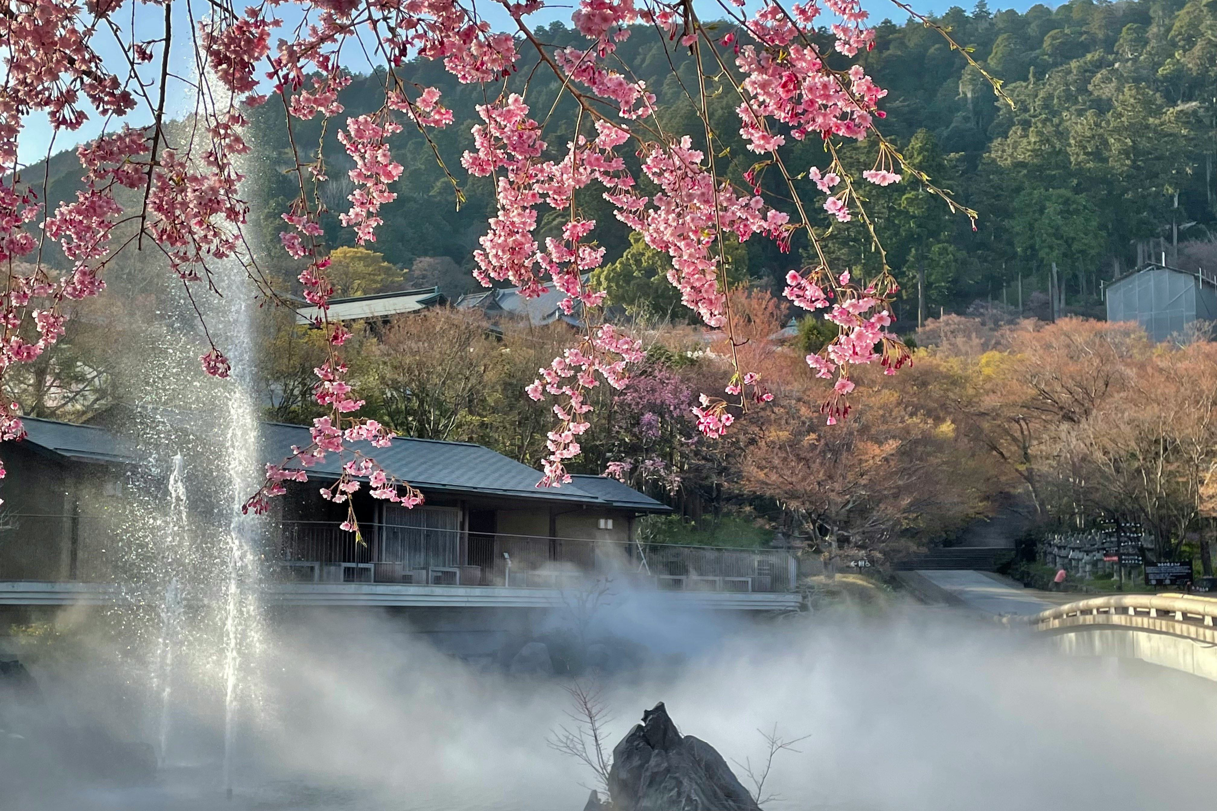 Ramas de flor de cerezo sobre un lago brumoso con surtidor de agua
