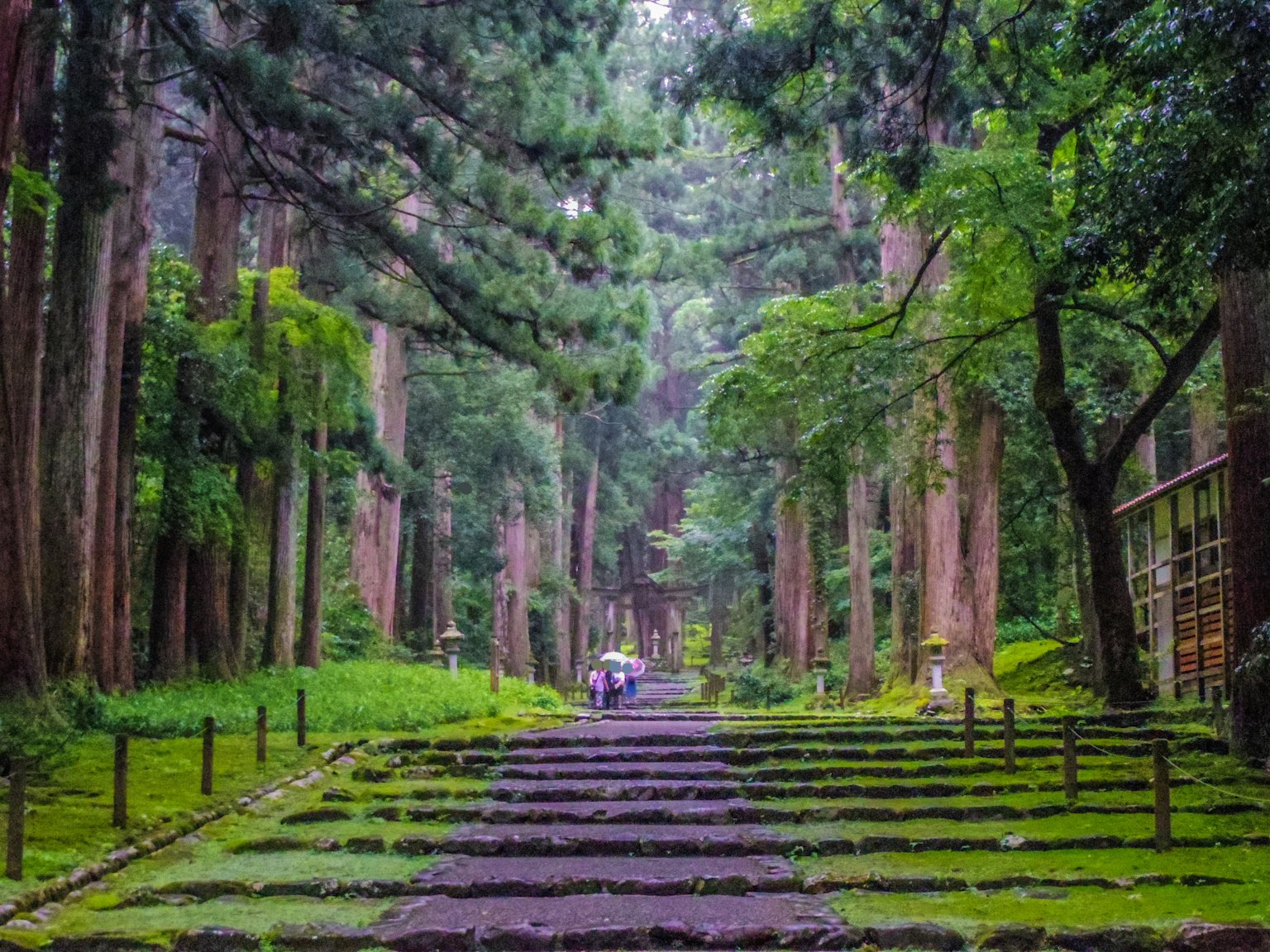 Jalan pemandangan indah melalui hutan lebat dengan orang-orang berjalan