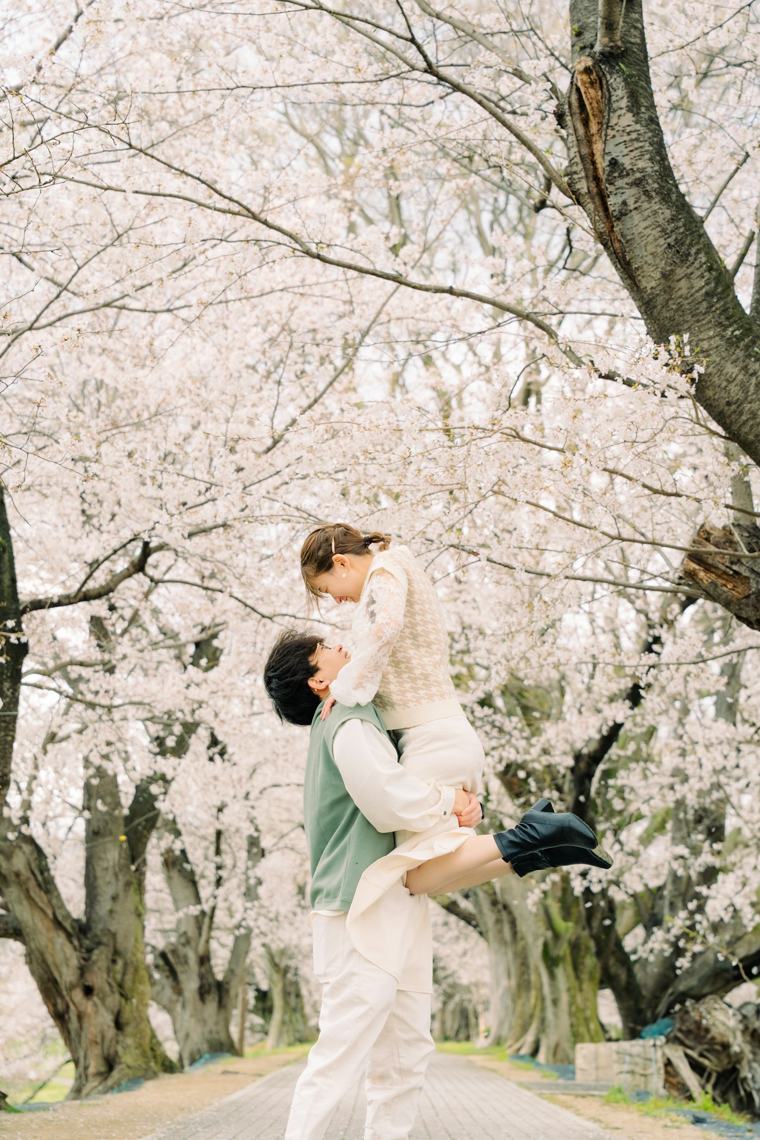 在樱花树下拥抱的情侣