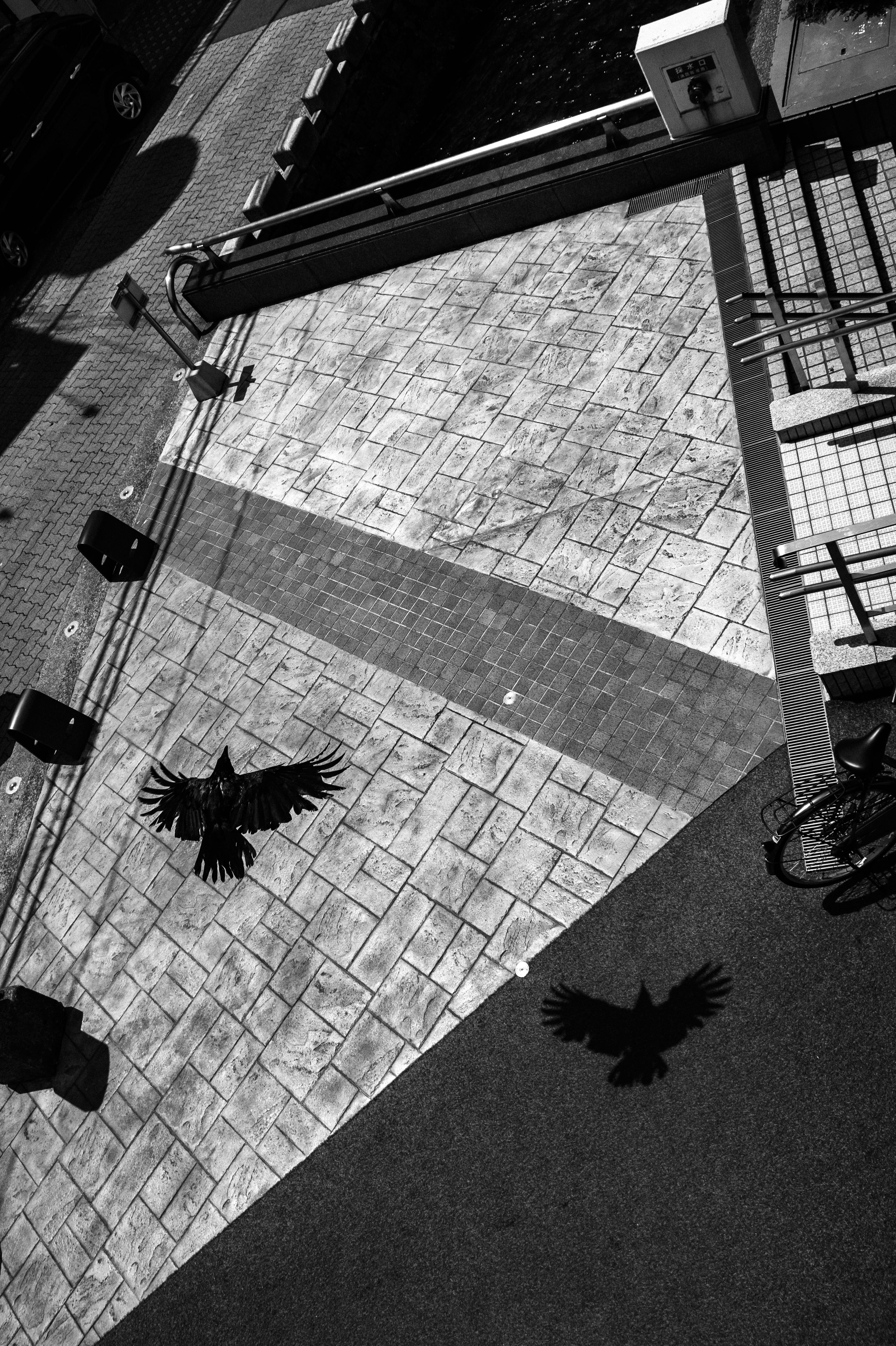 plaza empedrada en blanco y negro con sombras que se cruzan