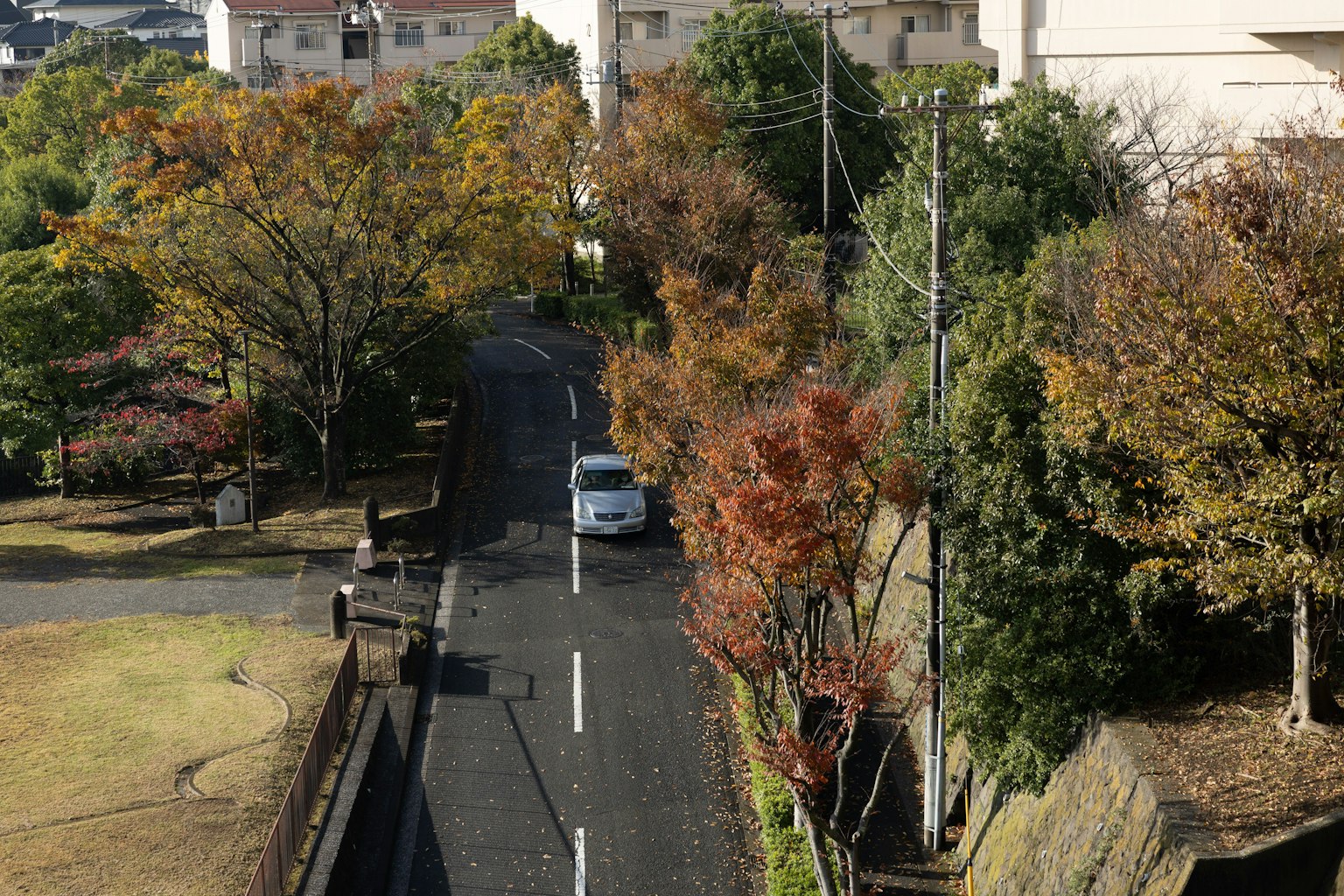 Escena de carretera tranquila bordeada de árboles de colores otoñales