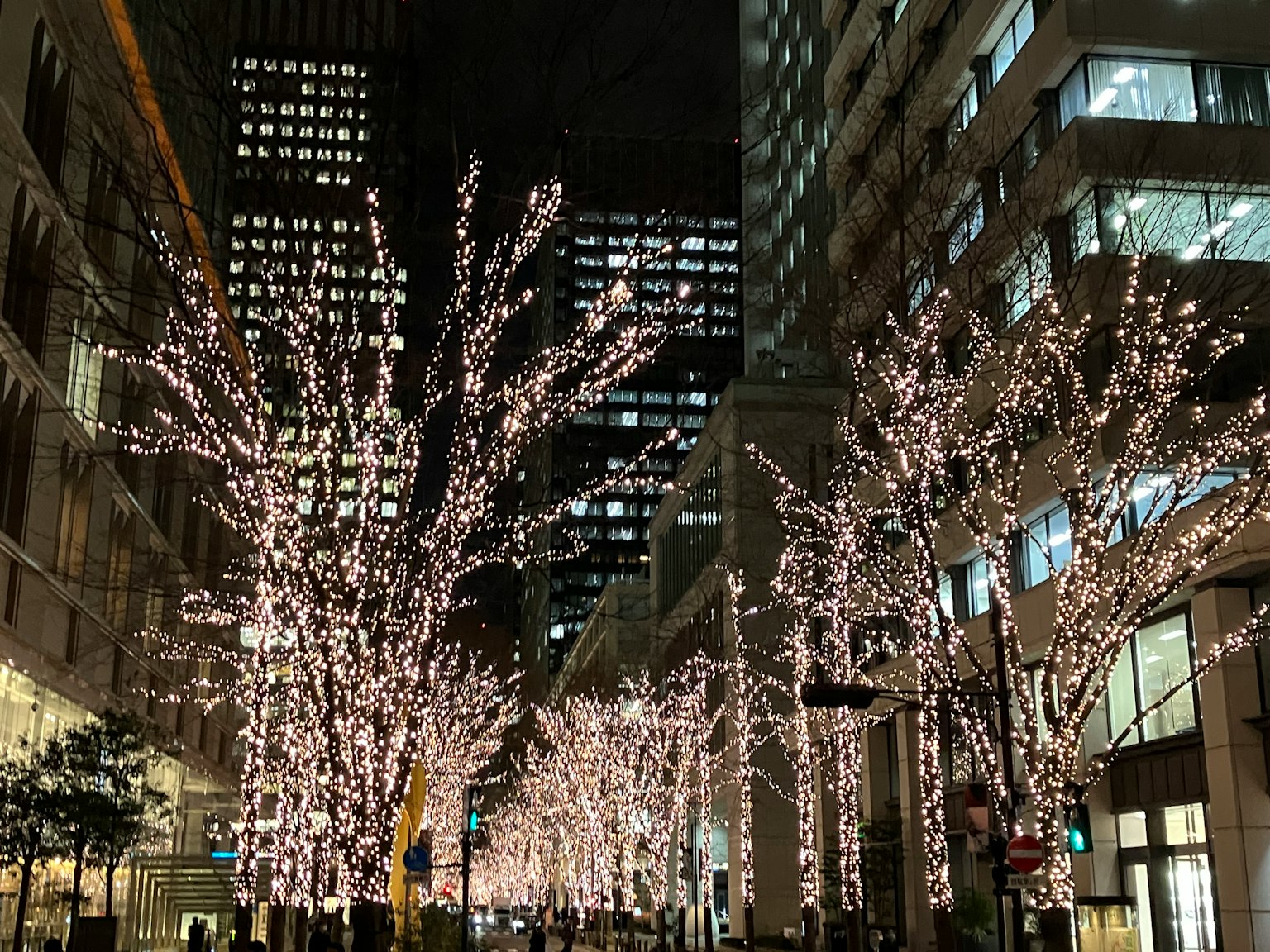 Arbres illuminés le long d'une rue de la ville la nuit