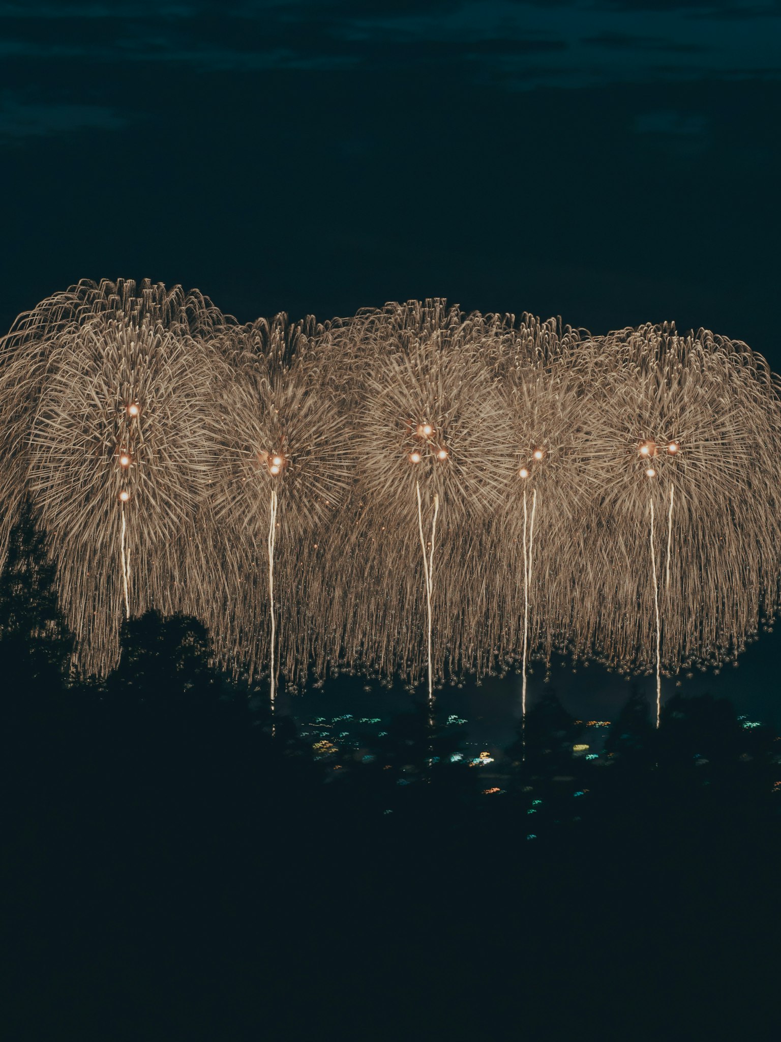 Belle vue d'un feu d'artifice illuminant le ciel nocturne
