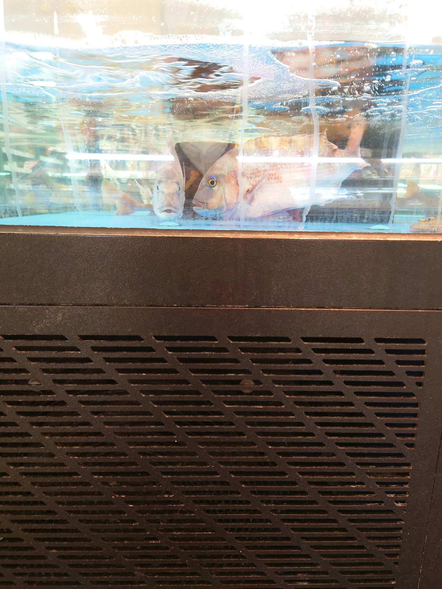 Personen in einem Tank mit Wellen auf der Wasseroberfläche sichtbar