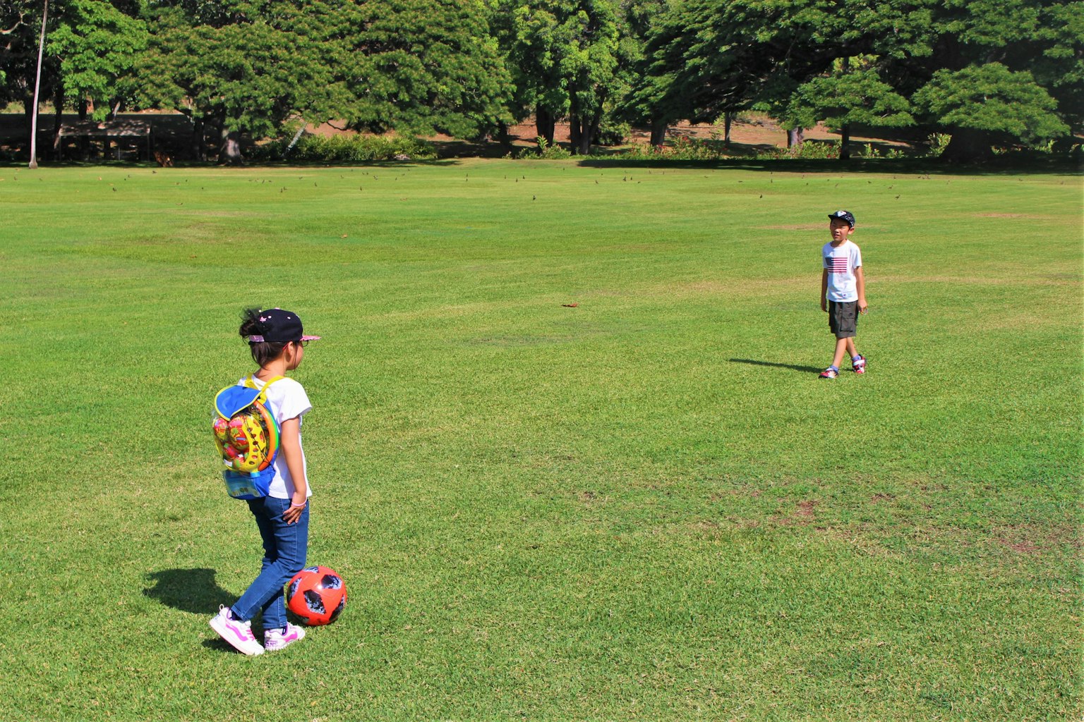 Bambini che giocano con un pallone da calcio in un parco