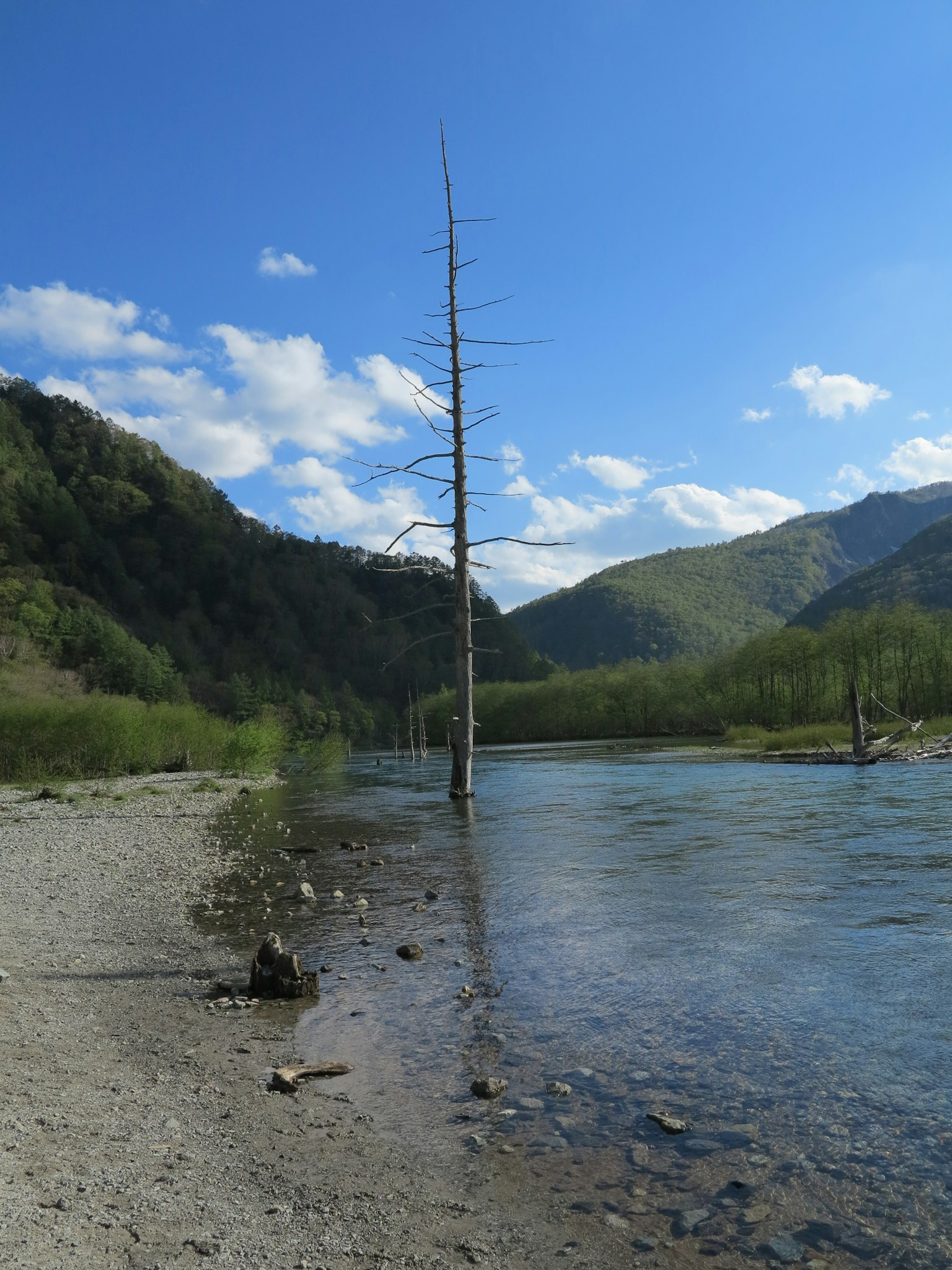 Un árbol muerto solitario junto a un río con montañas y cielo azul