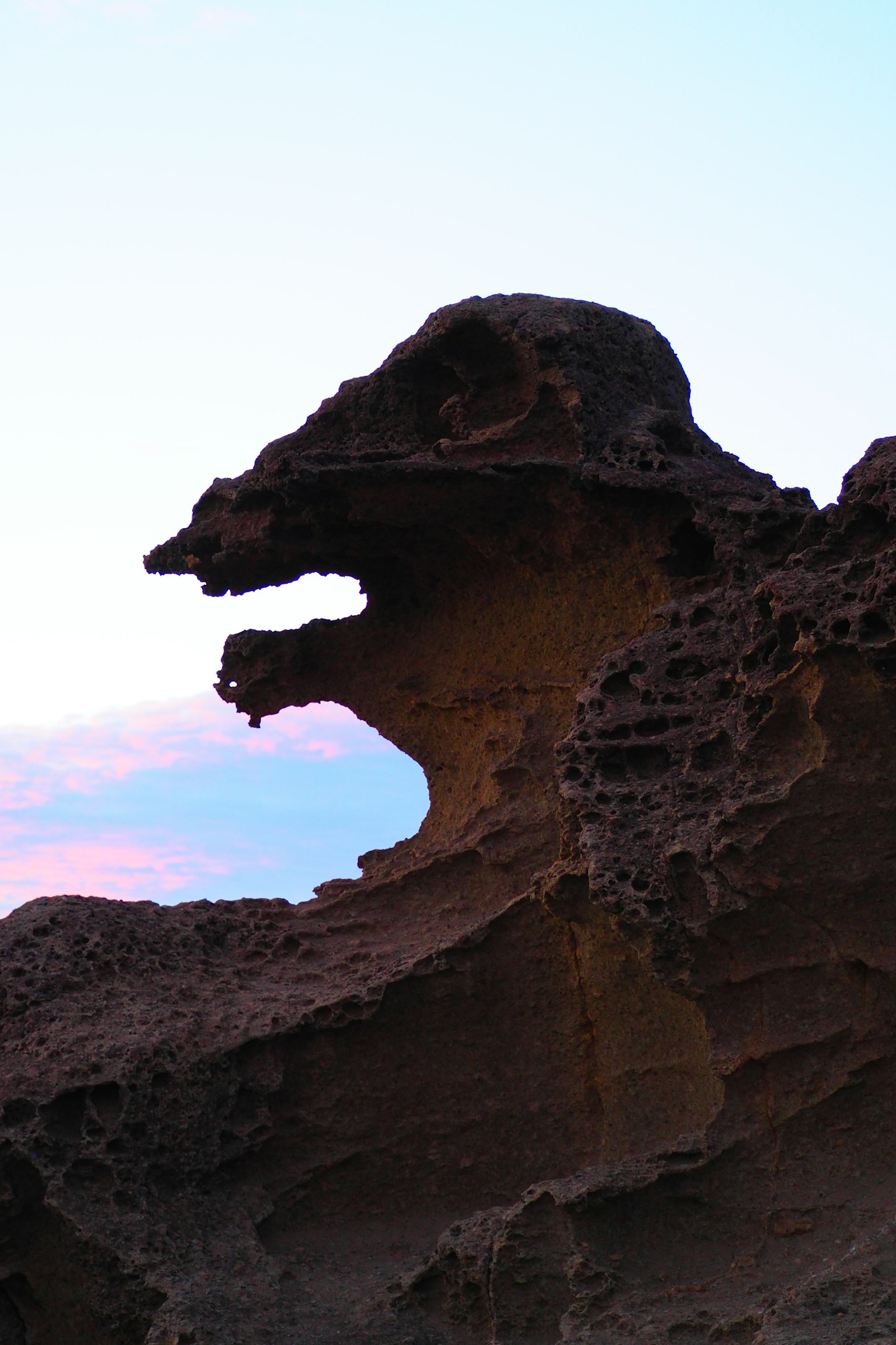 Formazione rocciosa che assomiglia a un volto di animale al tramonto