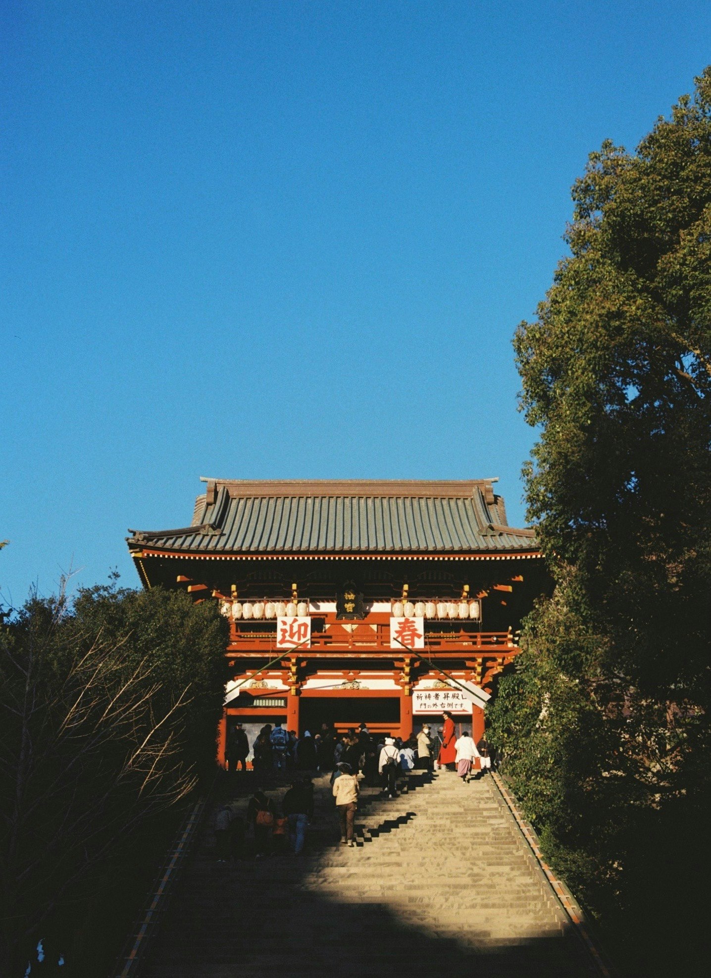 青空の下、迎春の文字がある神社の参道と鳥居