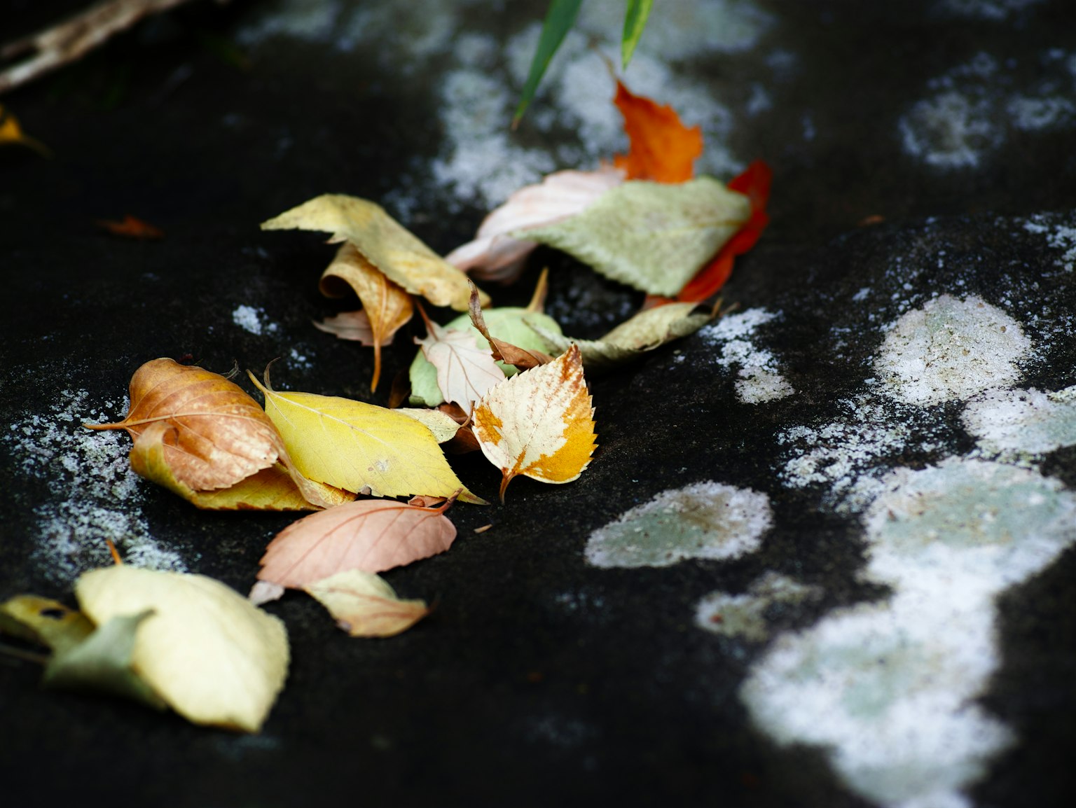 photo-hGvEIbKbHaDO8iQHHGdI-image