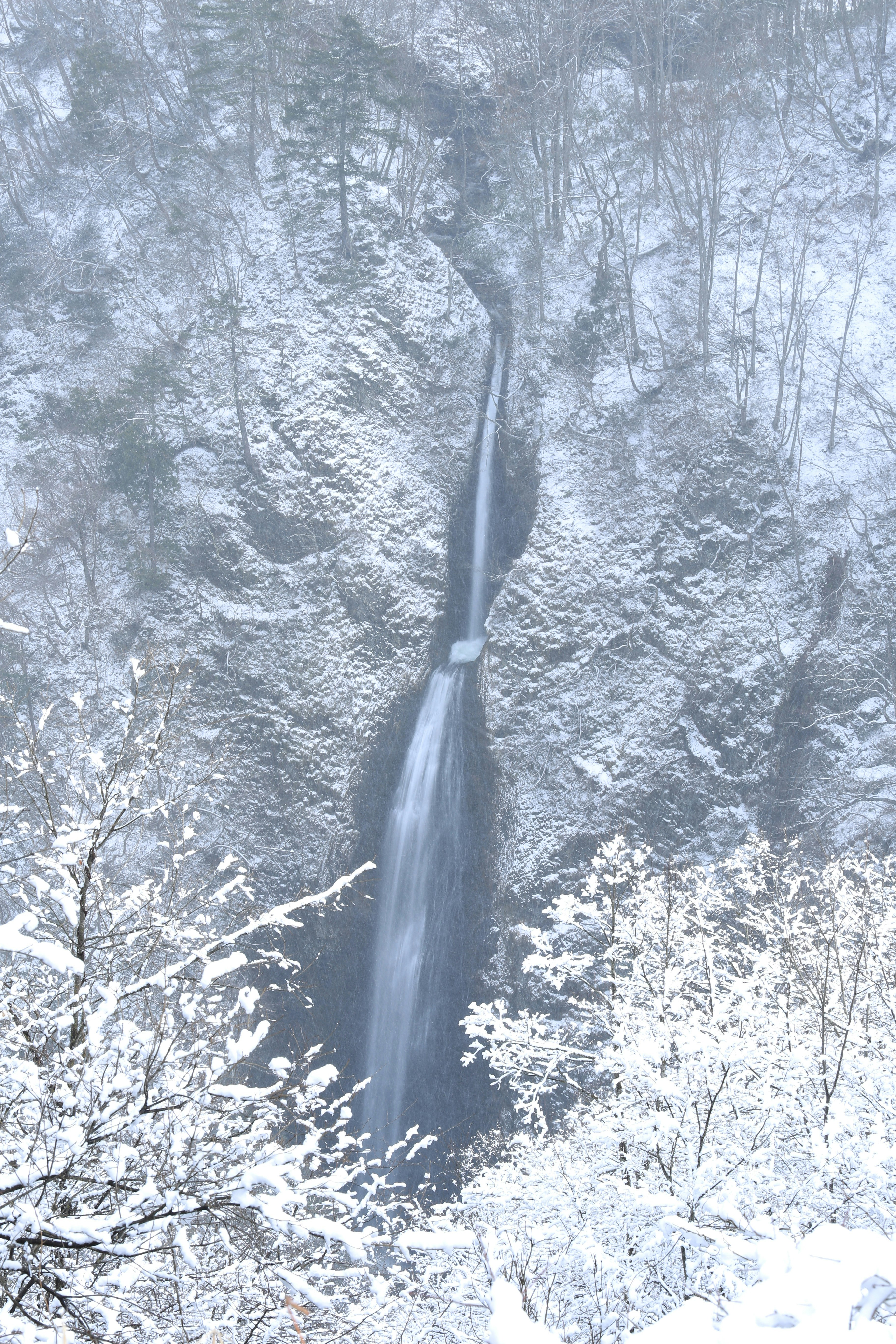 cascade d’eau au cœur d’une forêt enneigée
