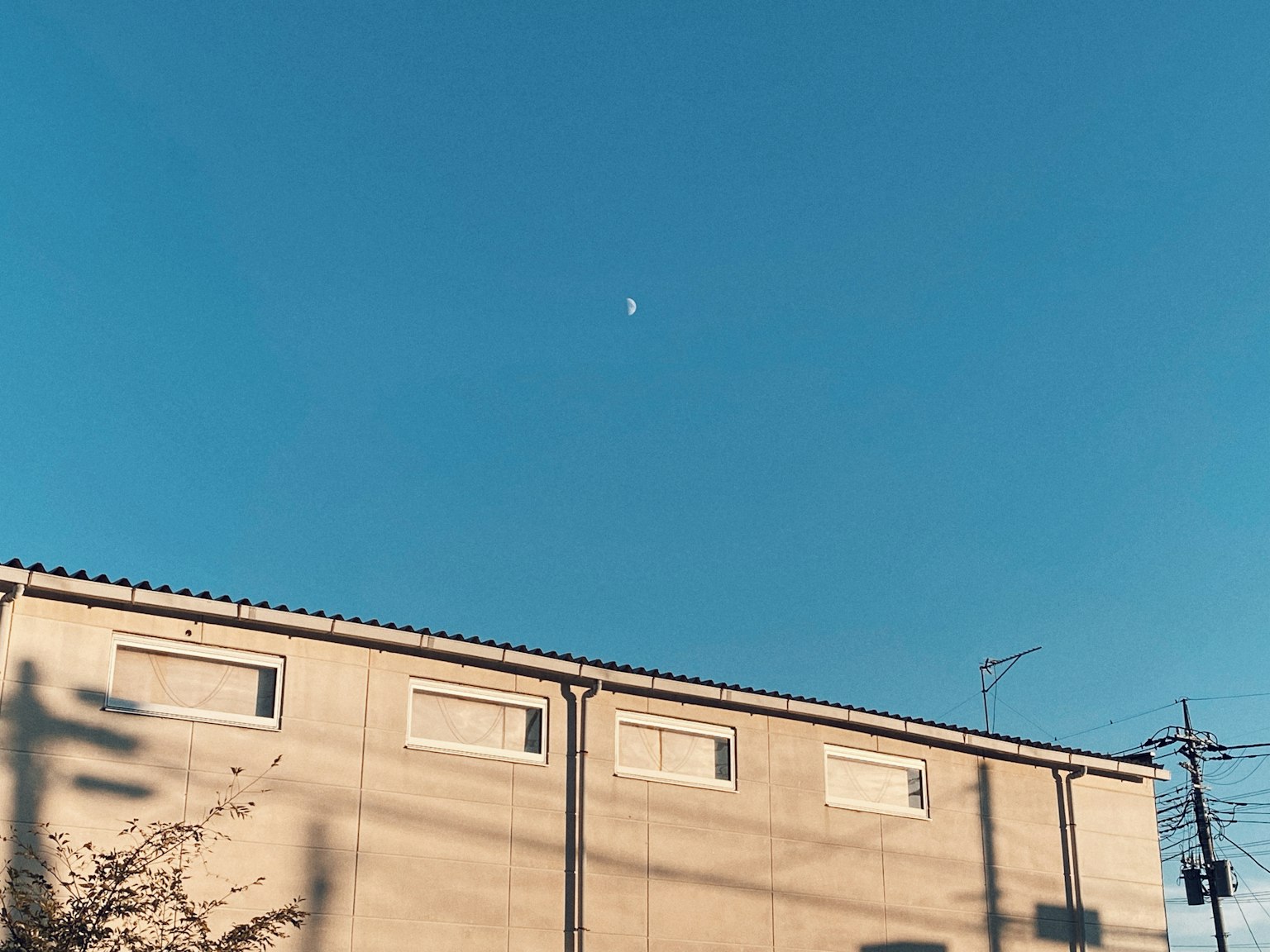 在晴朗蓝天上可见月亮和建筑的轮廓
