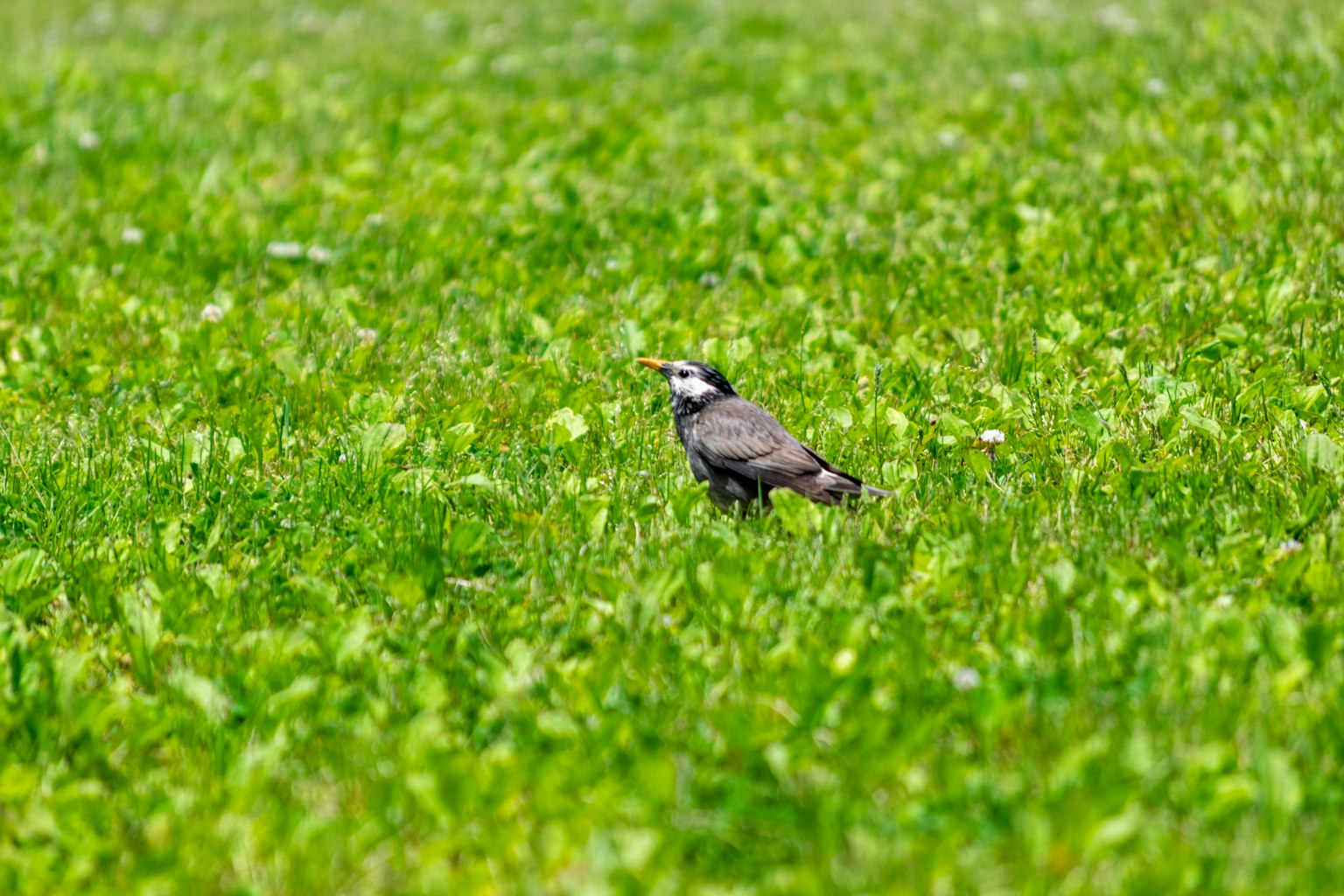 photo-hHUedJsq7VpkOEkfHqk4-image