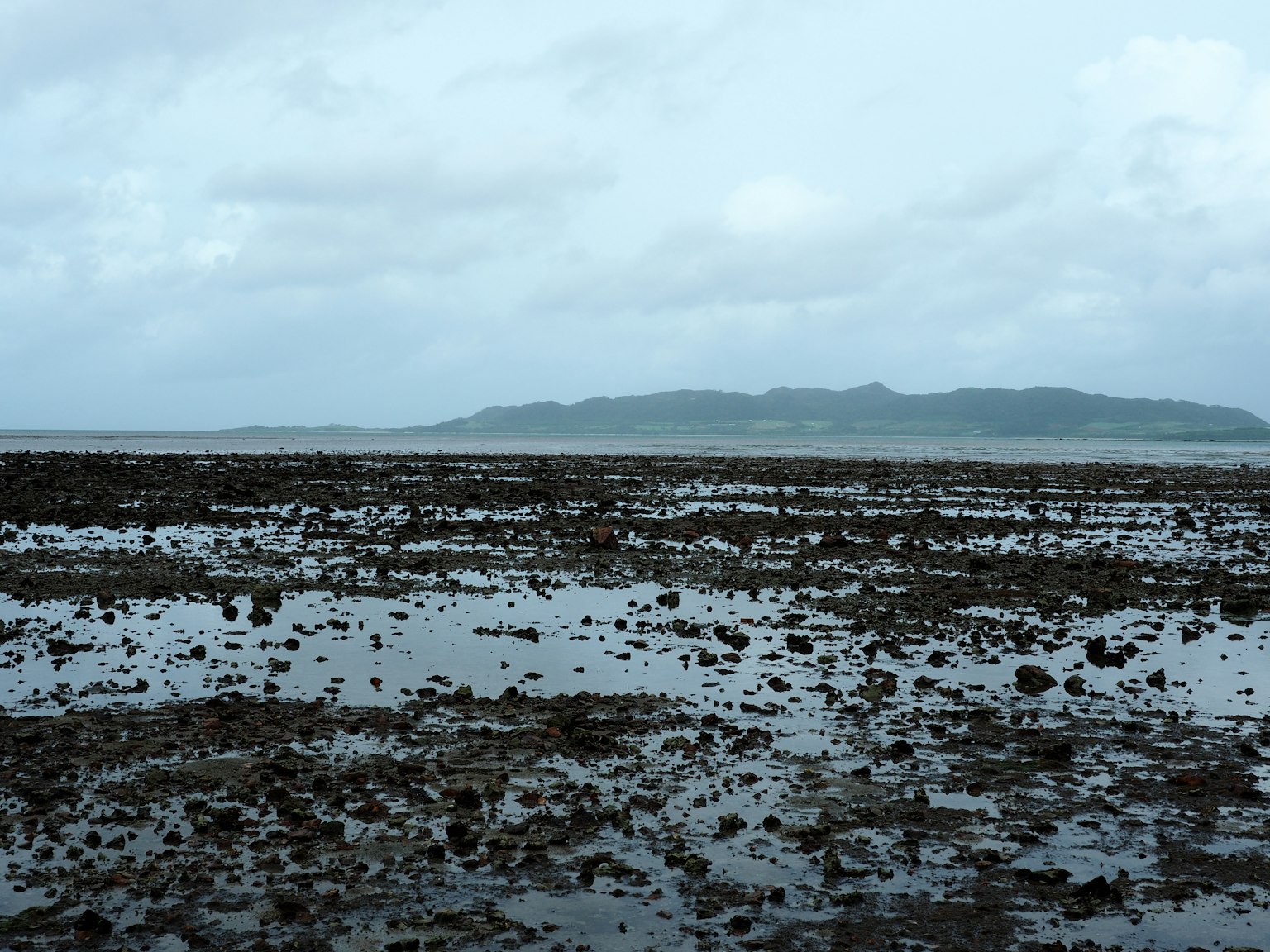 潮汐海岸风景，露出的岩石和平静的水面