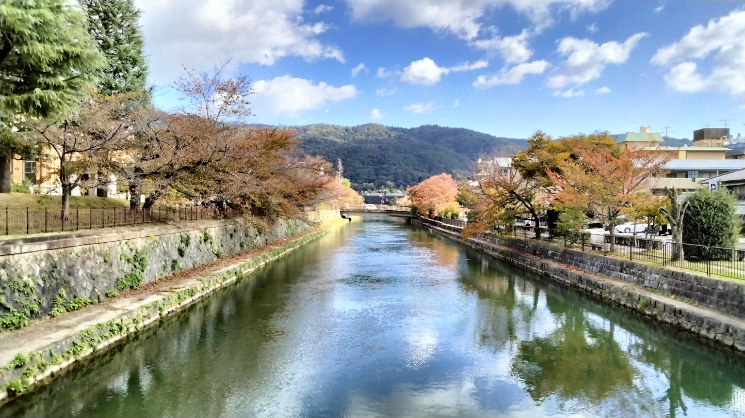 Fiume sereno che riflette il fogliame autunnale e il cielo blu