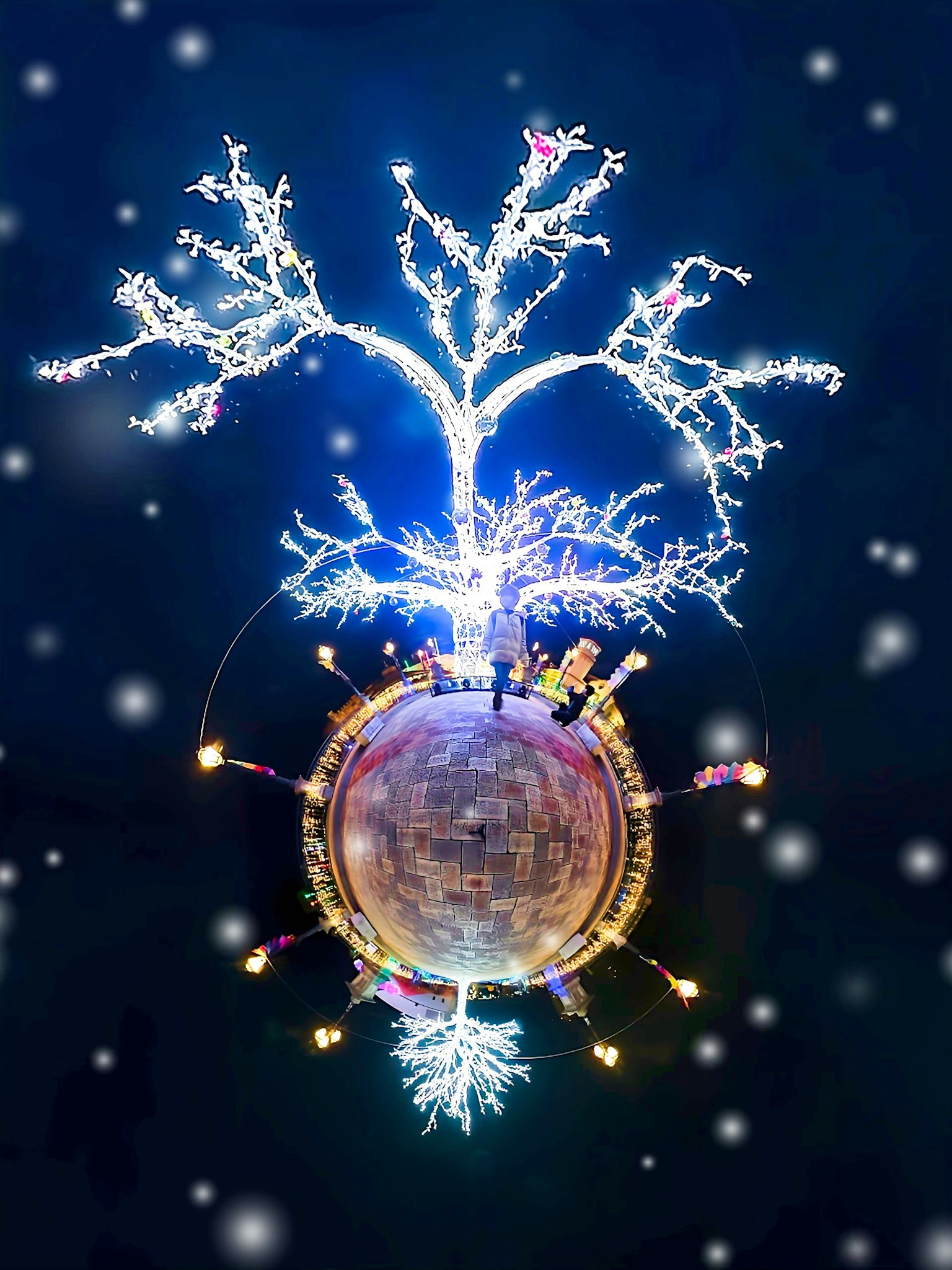 夜空中闪烁的LED树和雪的奇幻冬季场景
