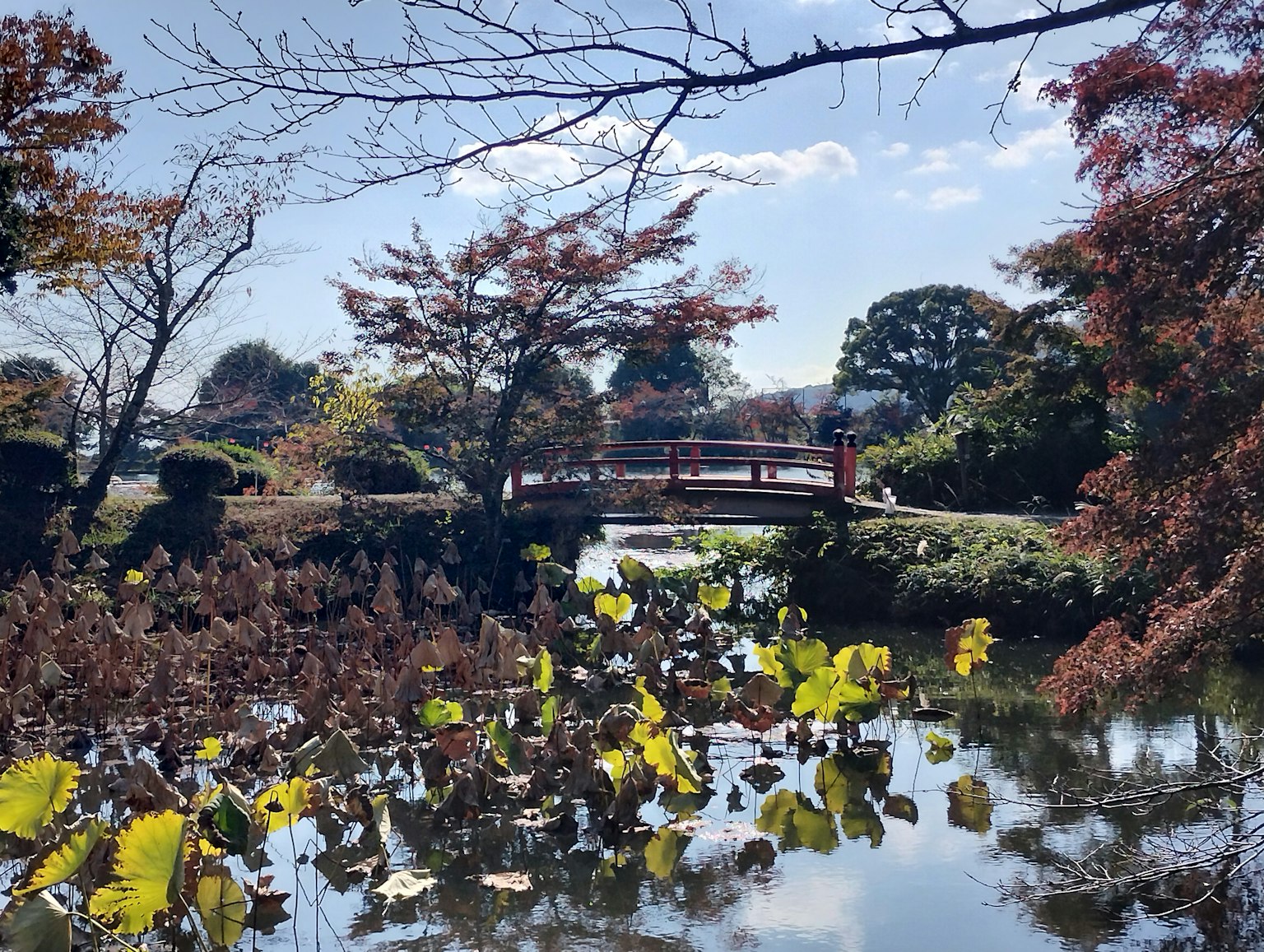 Vue pittoresque d'un petit pont sur un étang entouré de feuillage d'automne