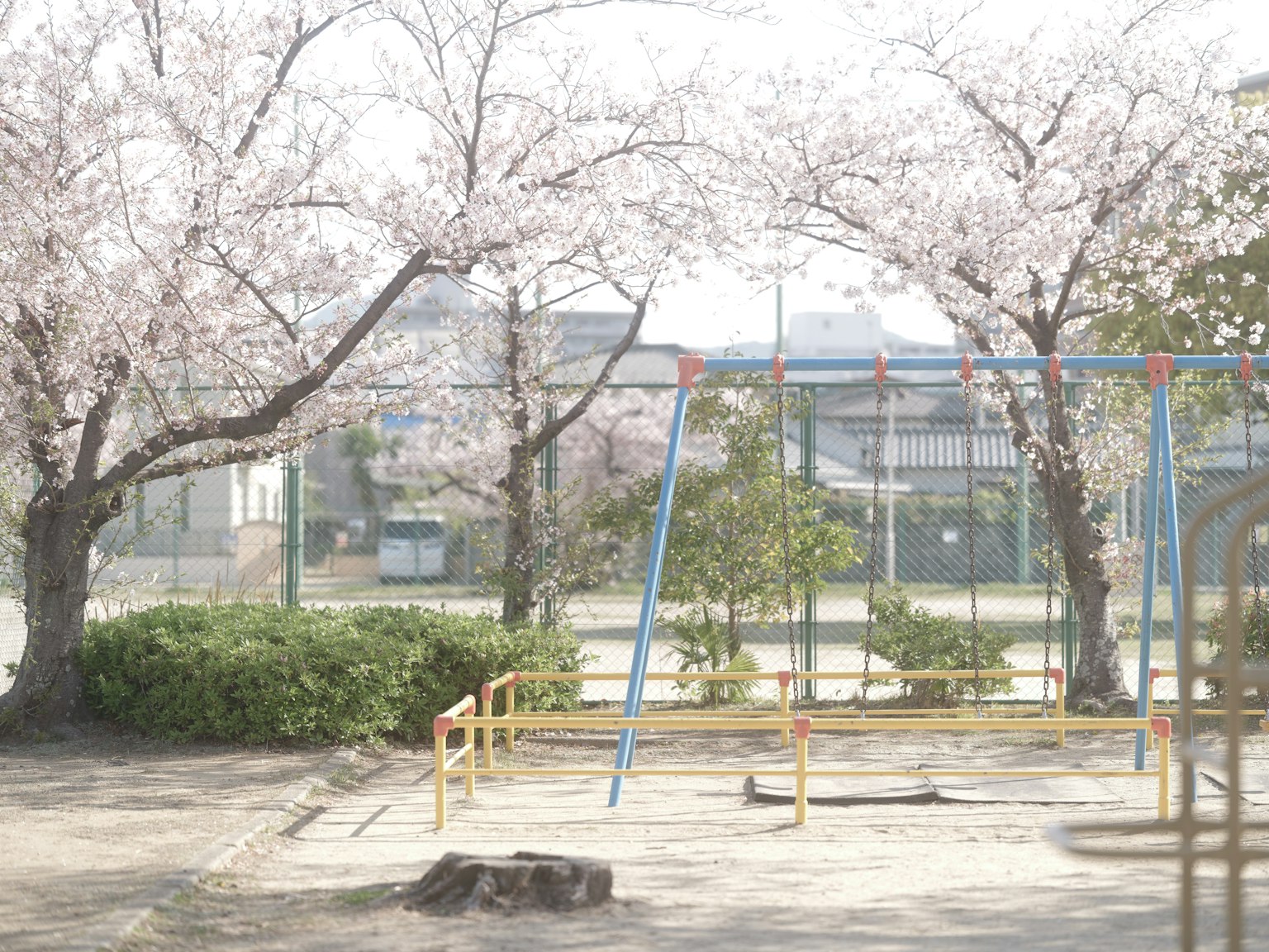 photo-hIjUnBJPRaiQS9XHq7iP-image